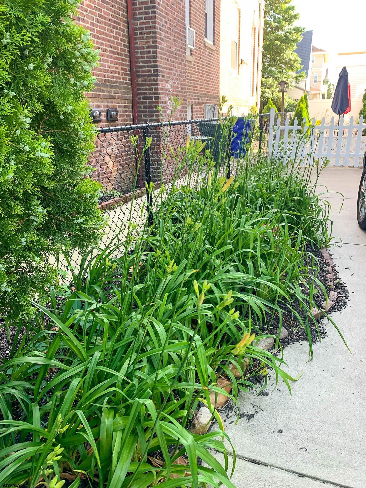 image50
