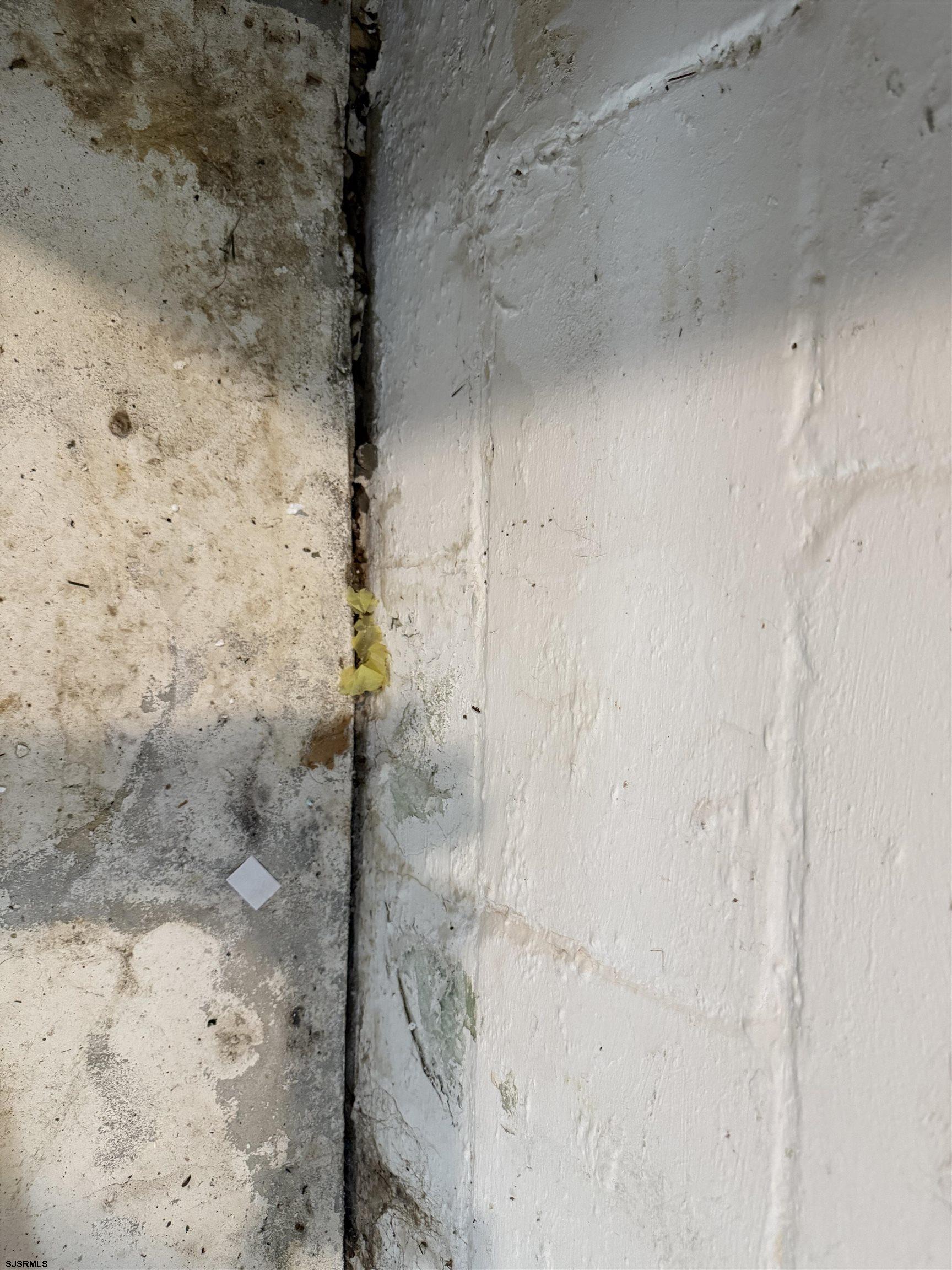 image 26