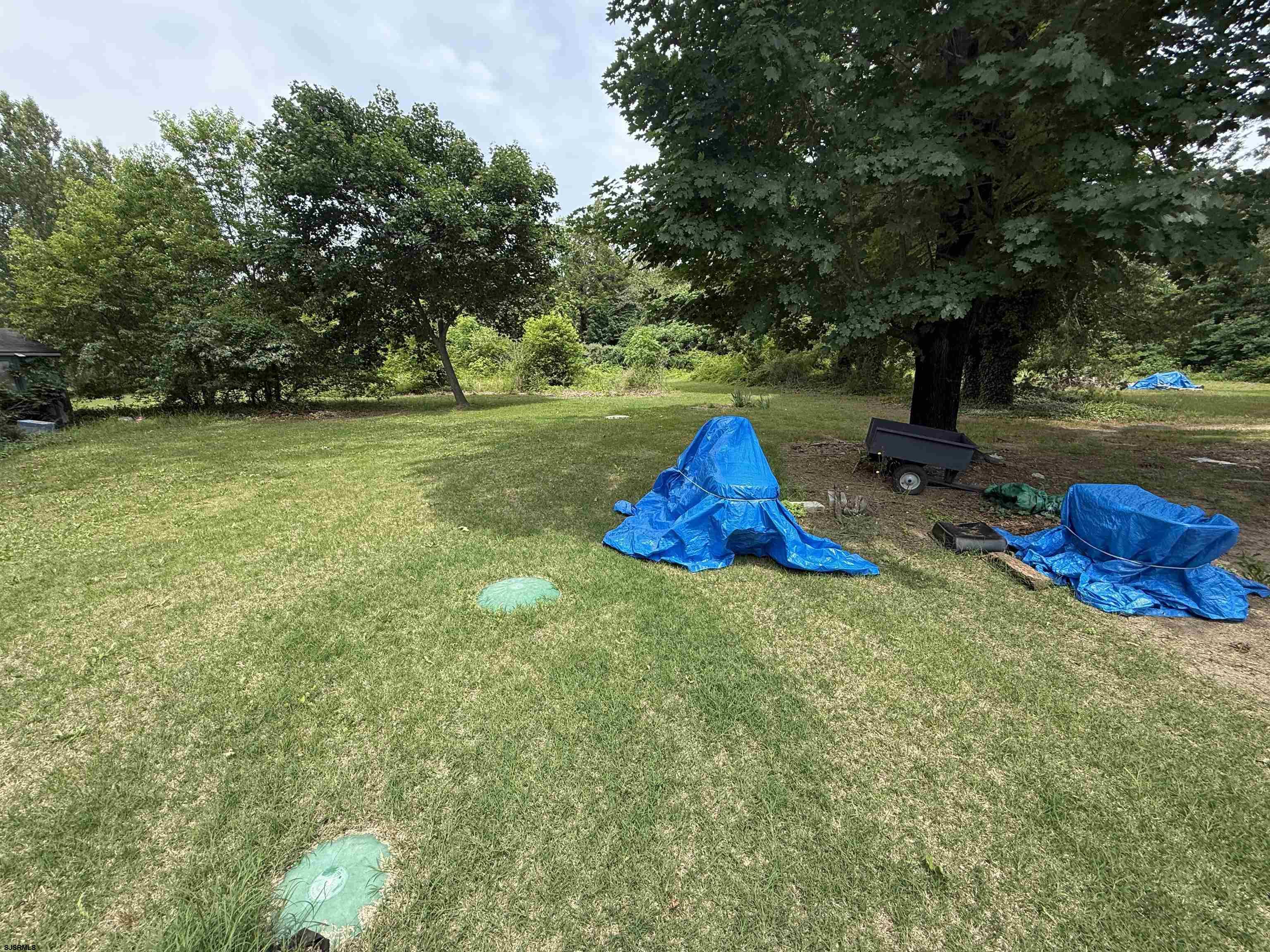 image 34