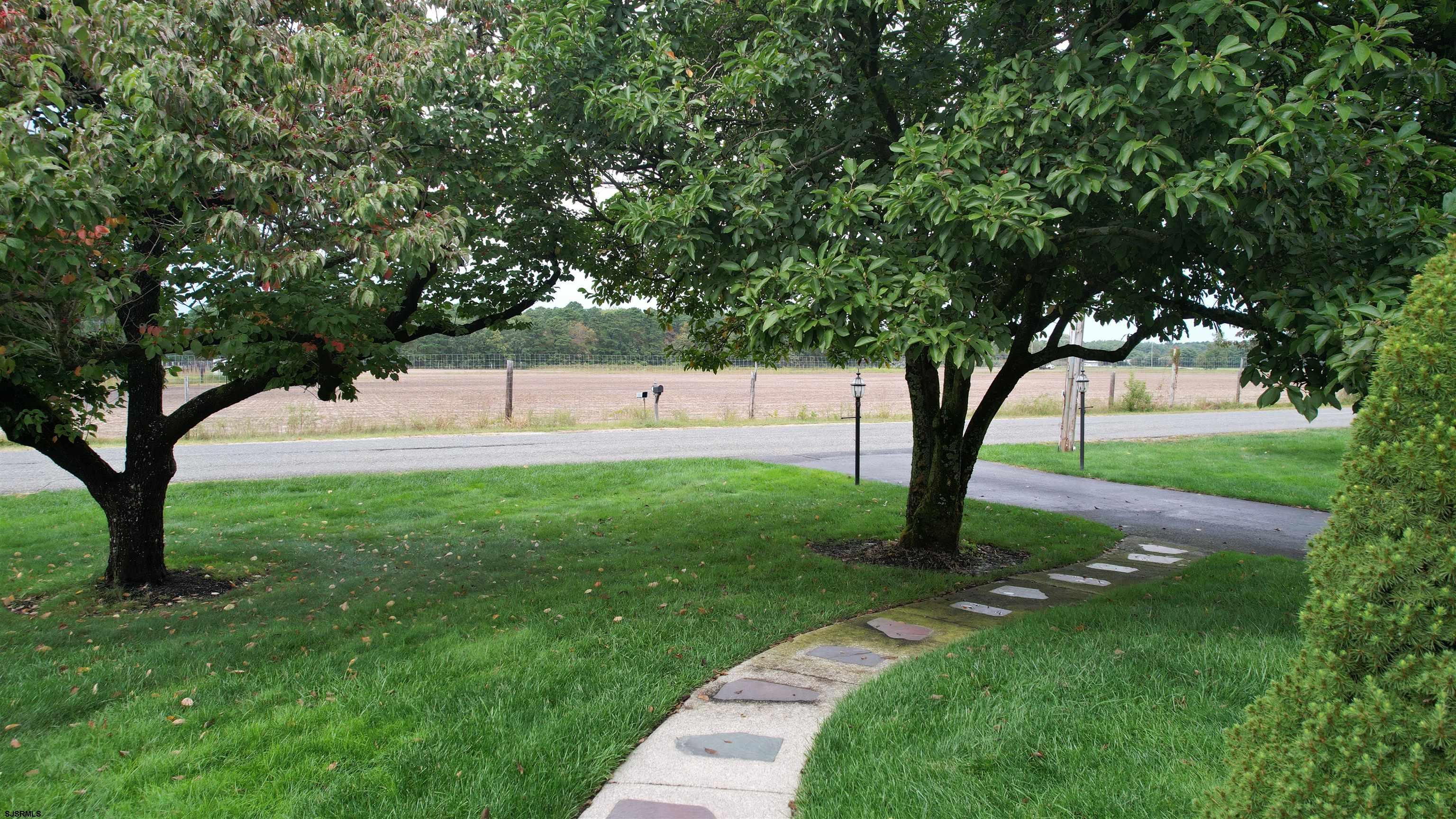 image 61