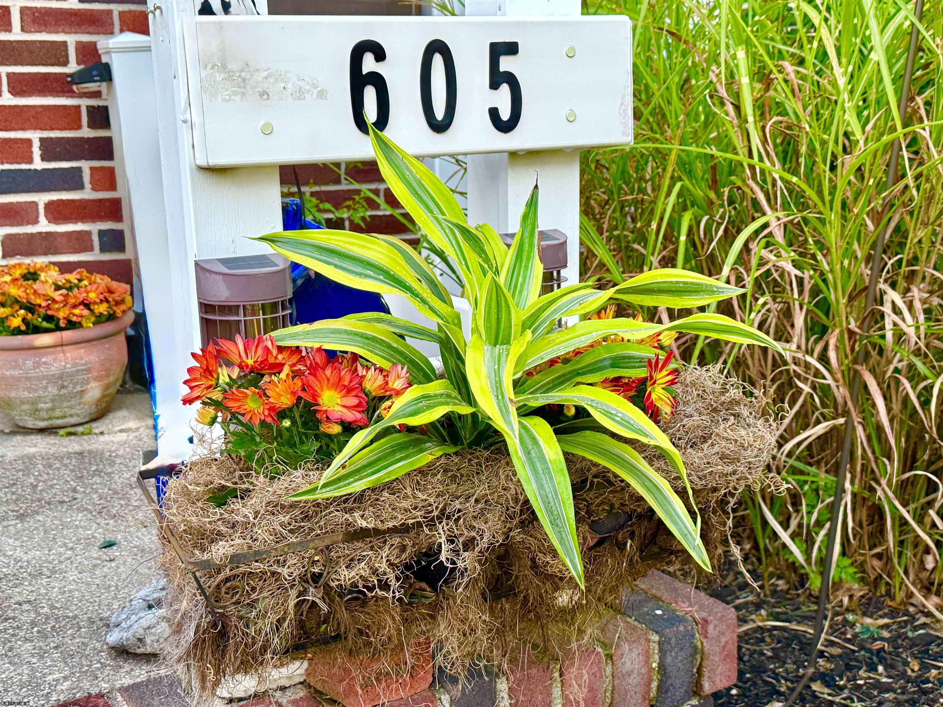 image5