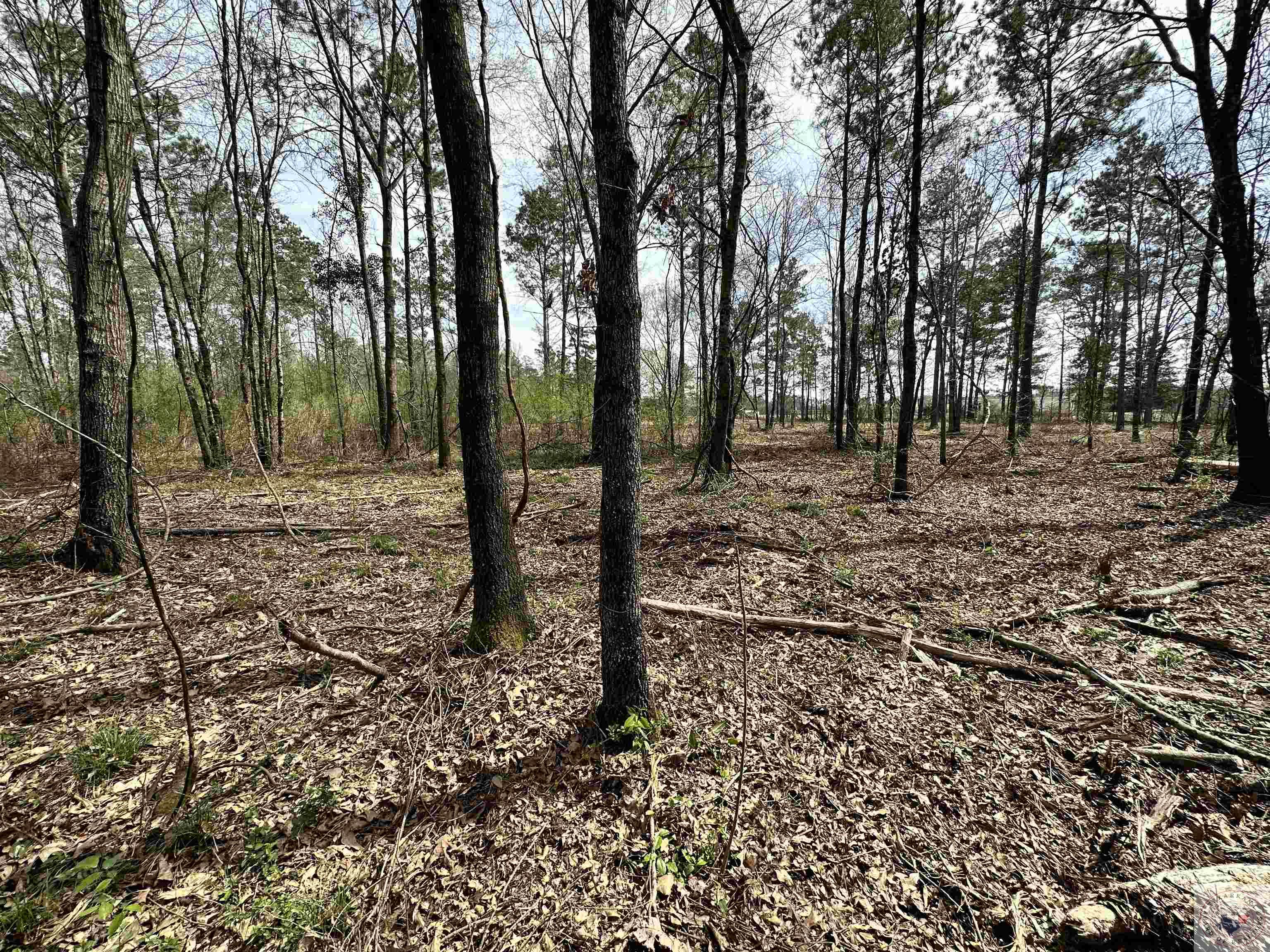 10.26 Acres Tri State Rd.