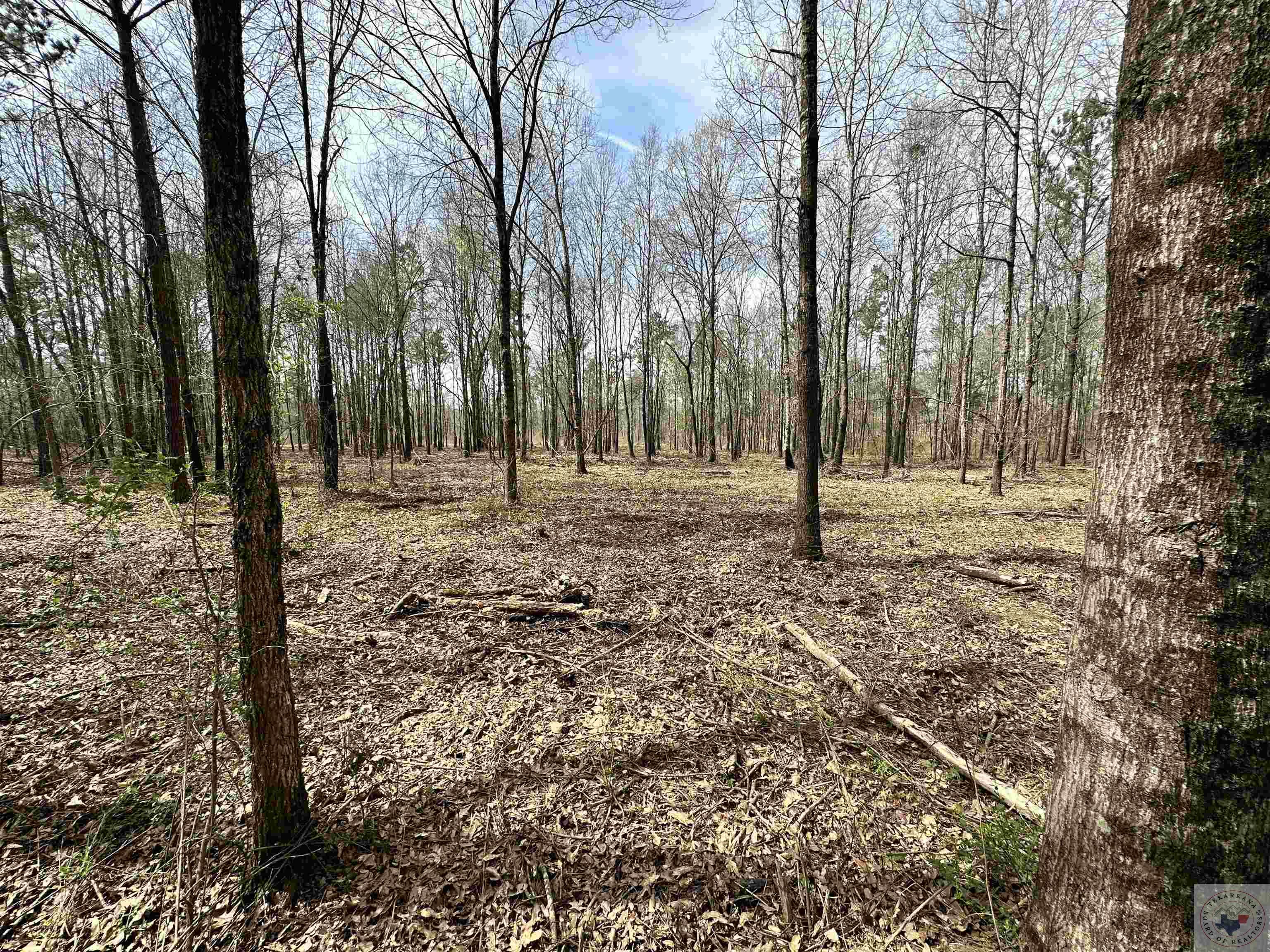 10.26 Acres Tri State Rd.
