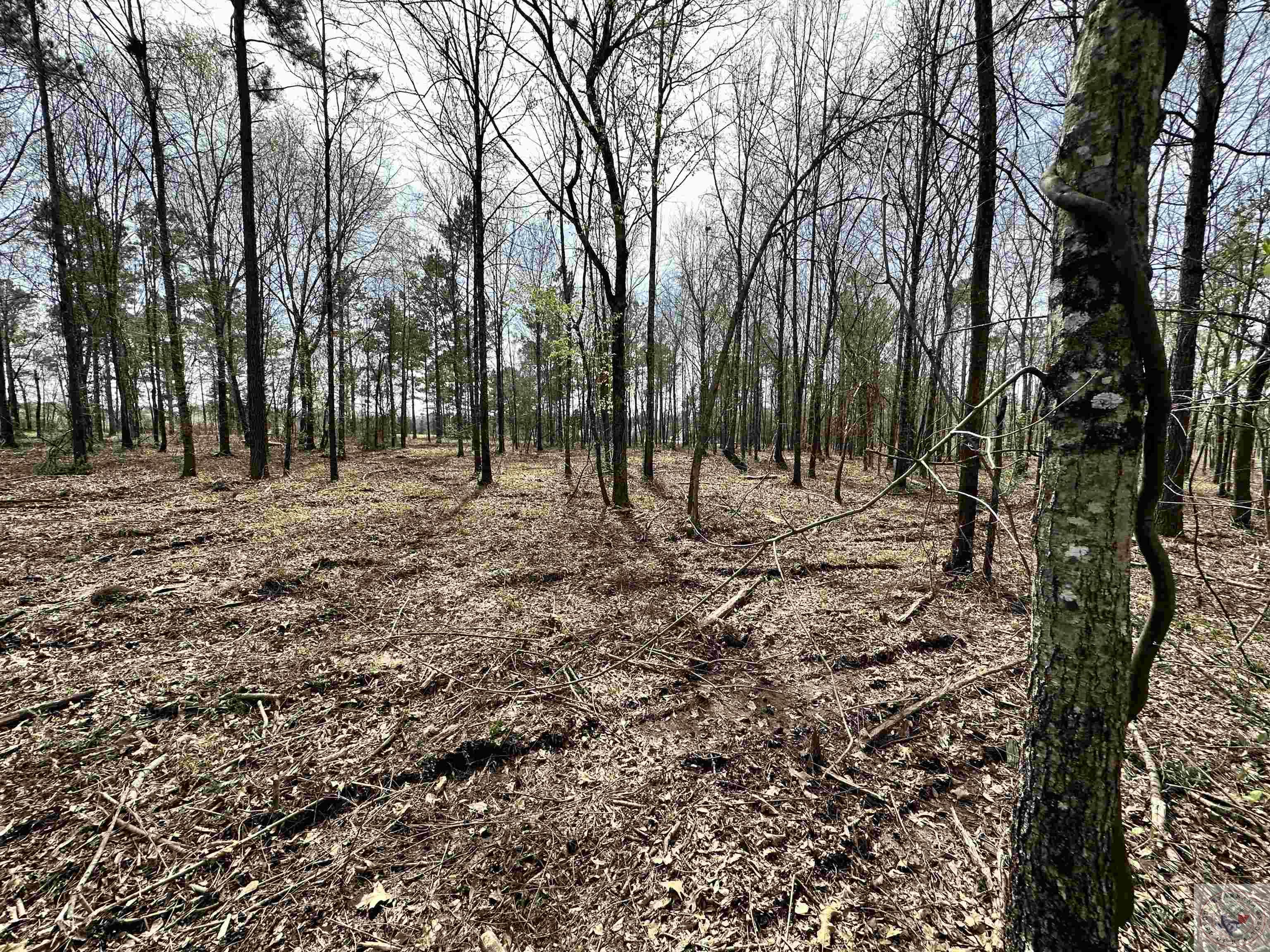 10.26 Acres Tri State Rd.