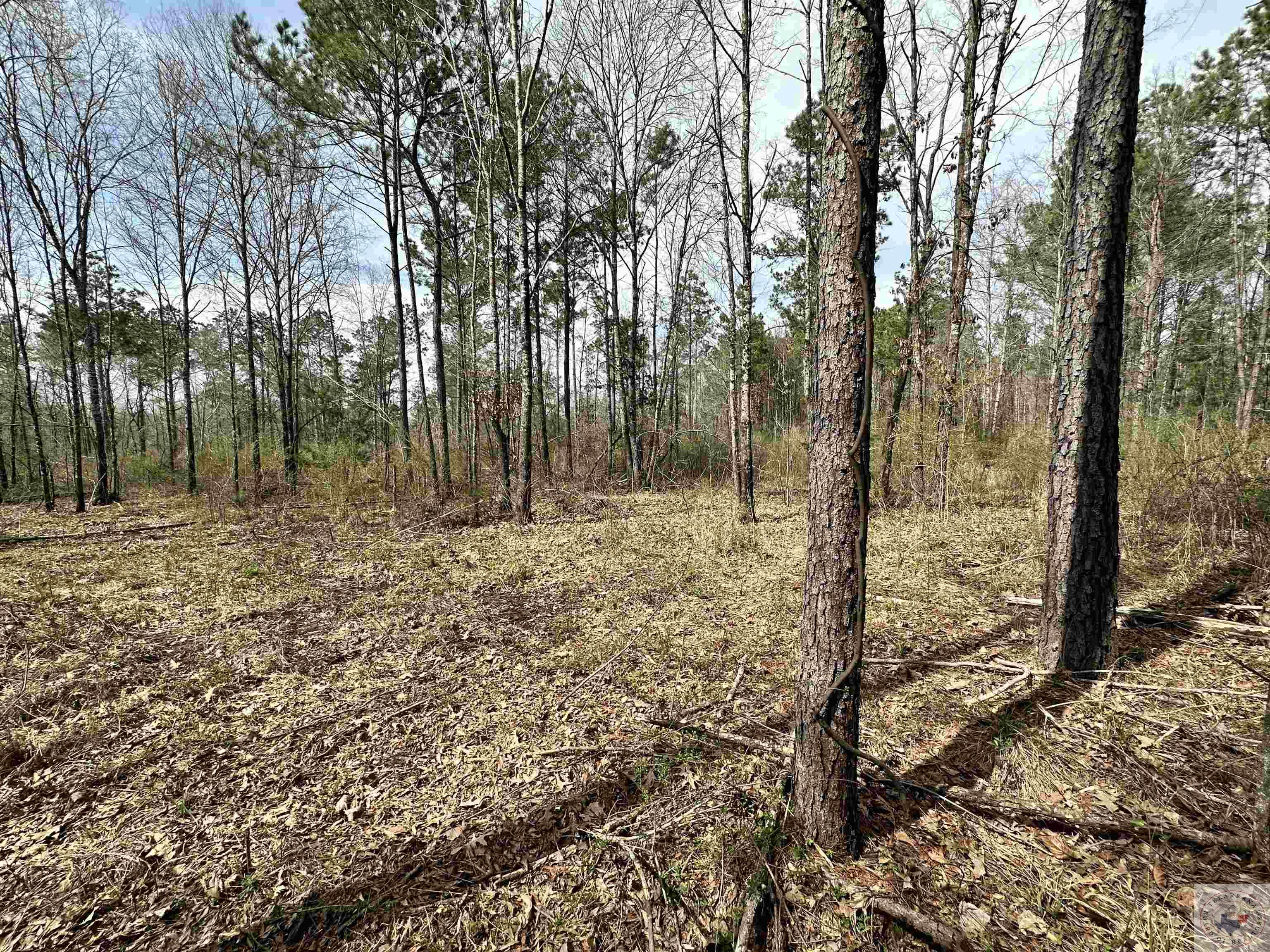 10.26 Acres Tri State Rd.