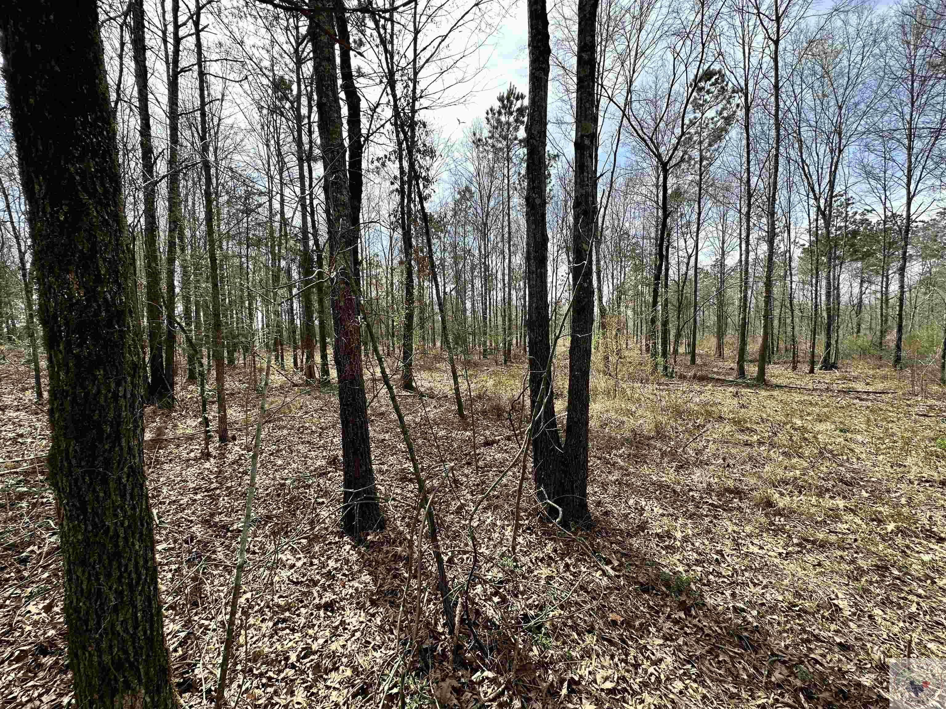 10.26 Acres Tri State Rd.