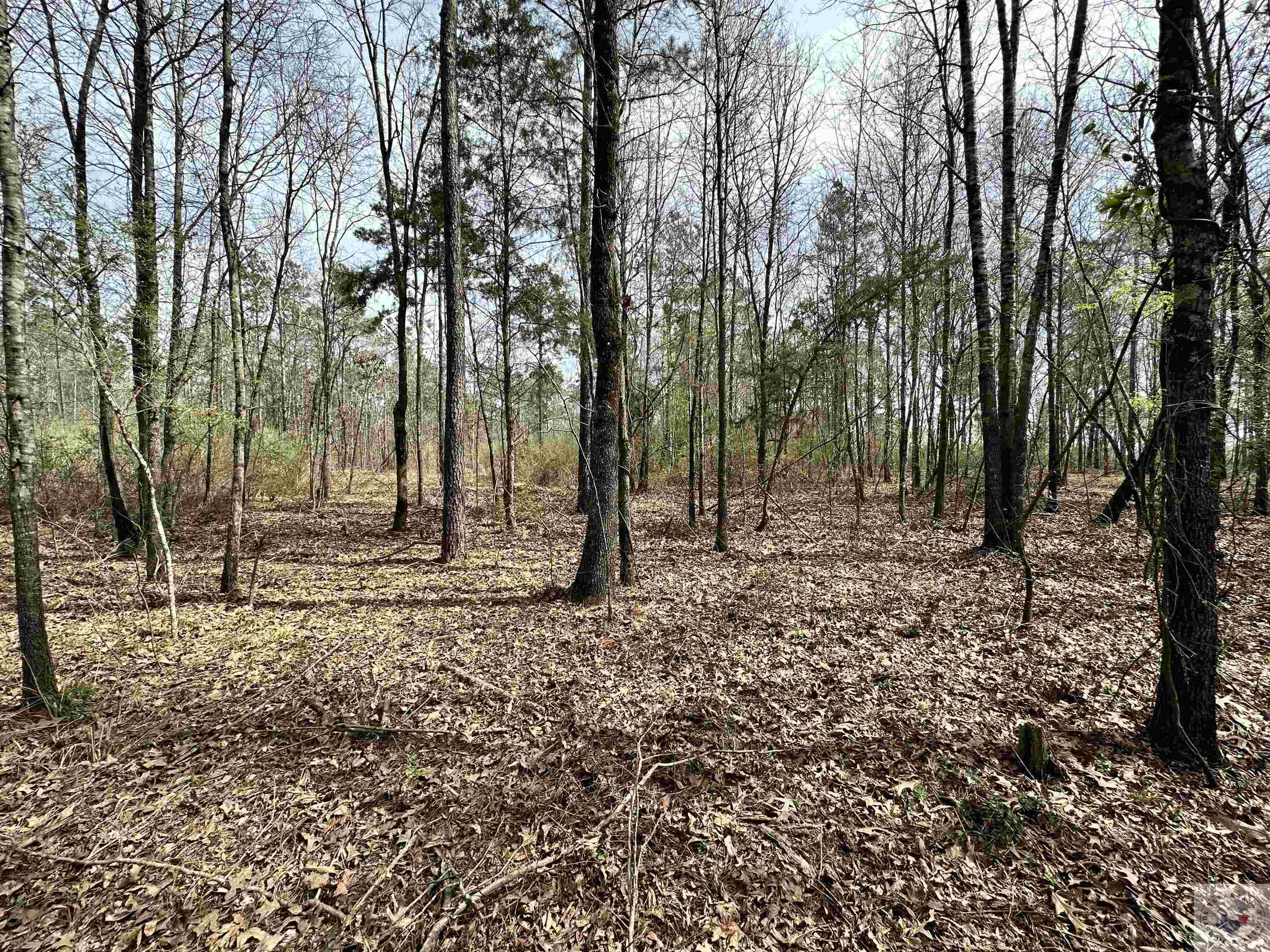 10.26 Acres Tri State Rd.
