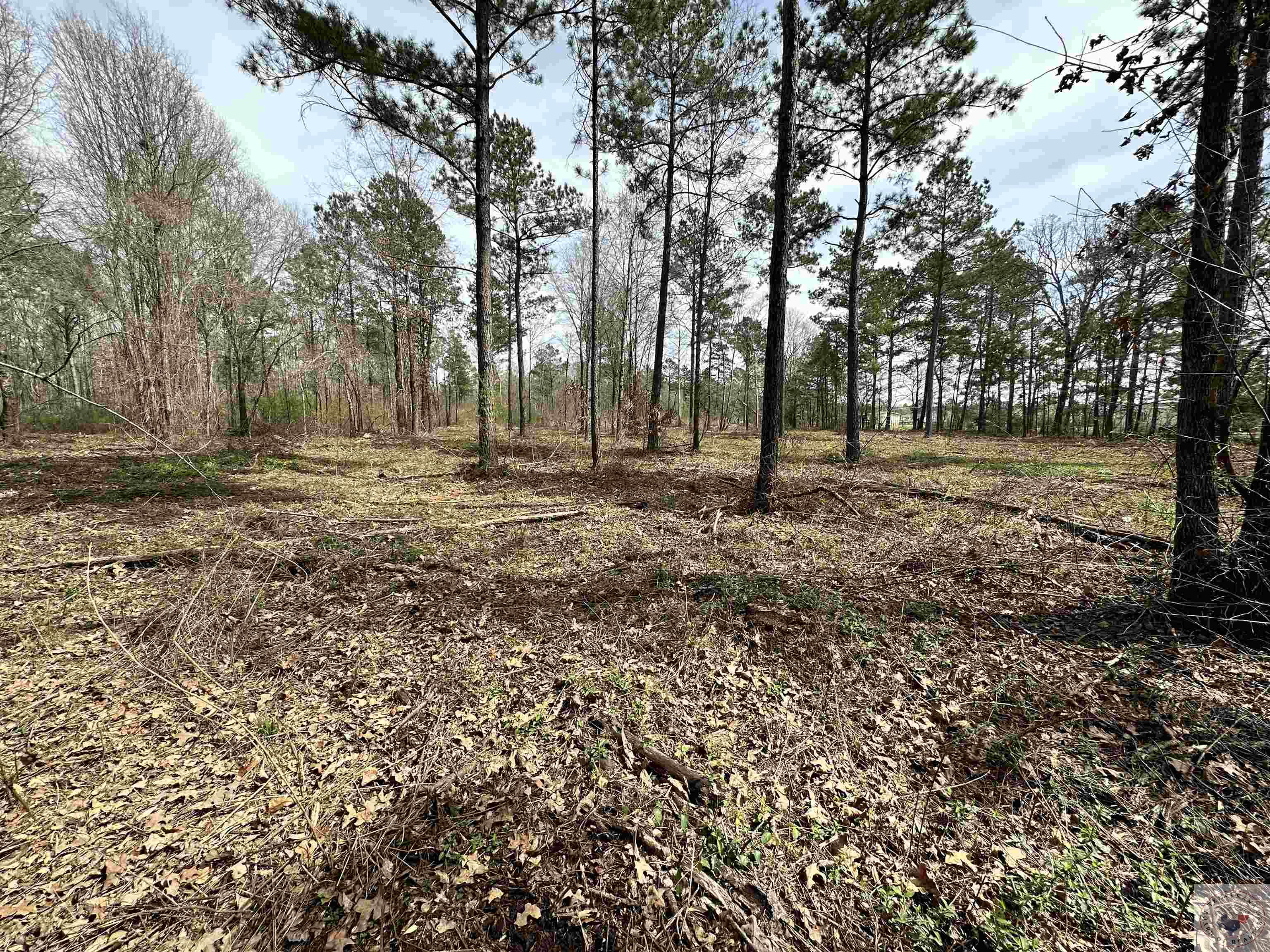 10.26 Acres Tri State Rd.