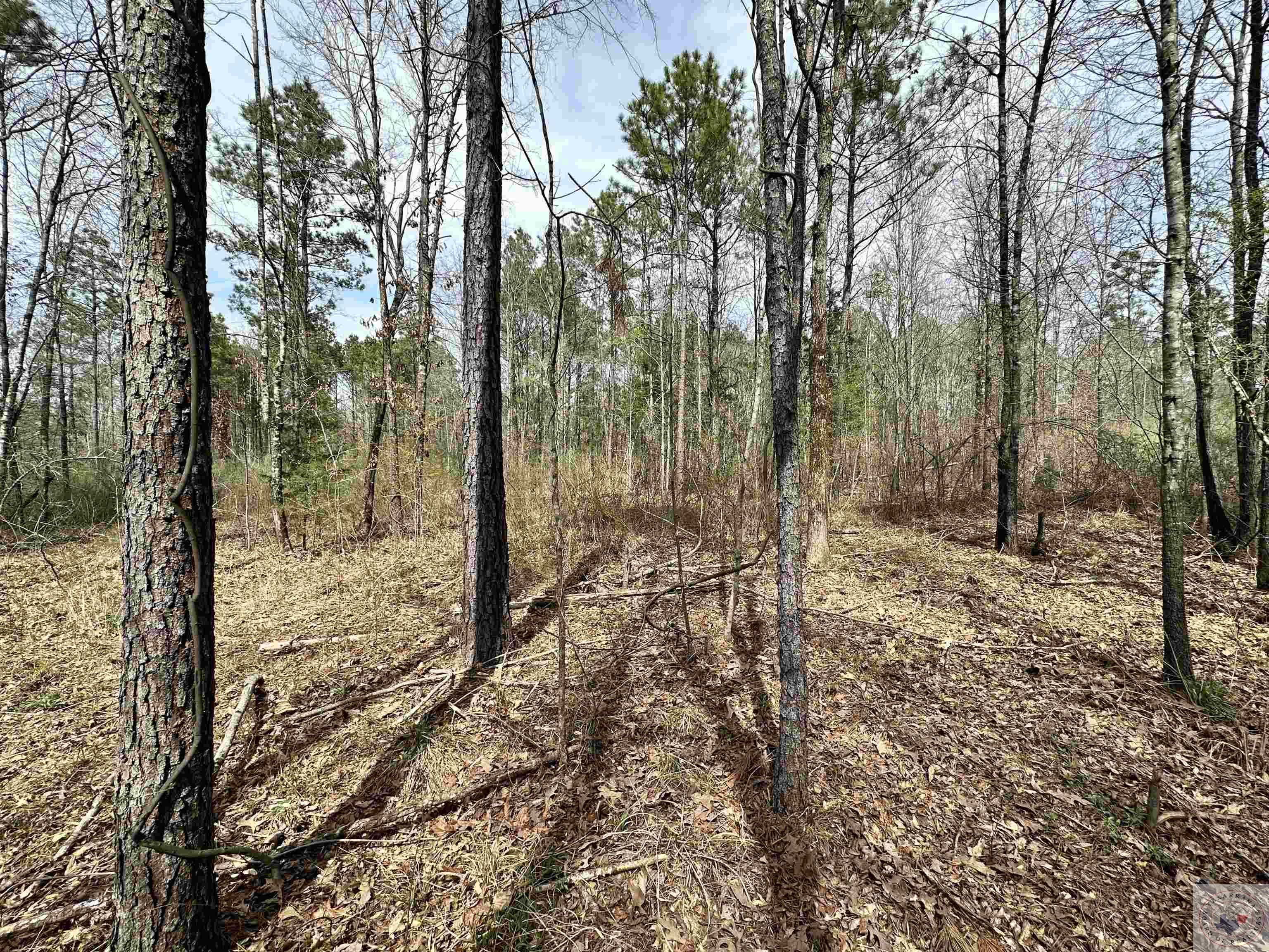 10.26 Acres Tri State Rd.