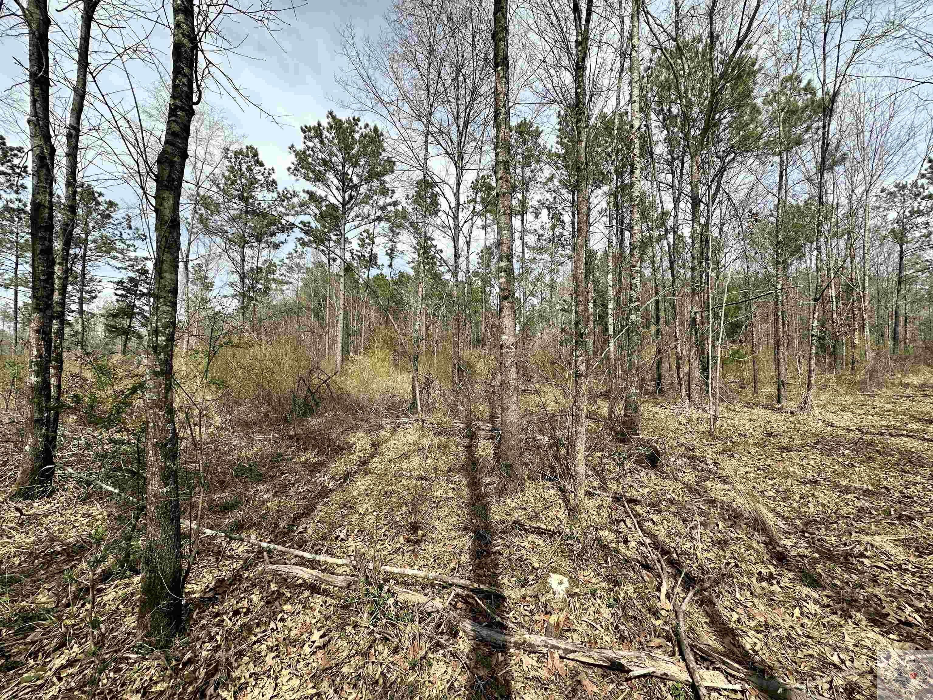 10.26 Acres Tri State Rd.
