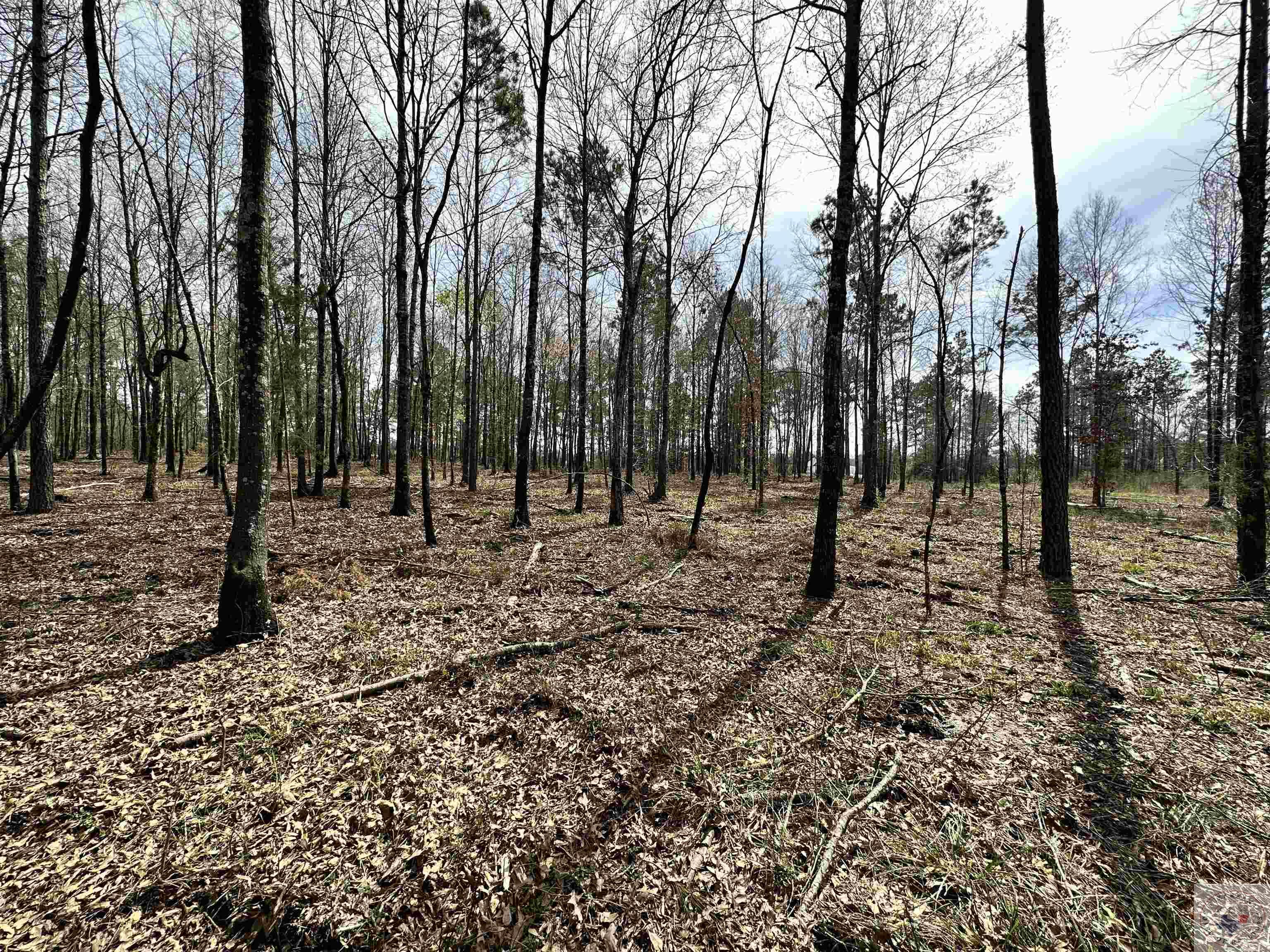 10.26 Acres Tri State Rd.