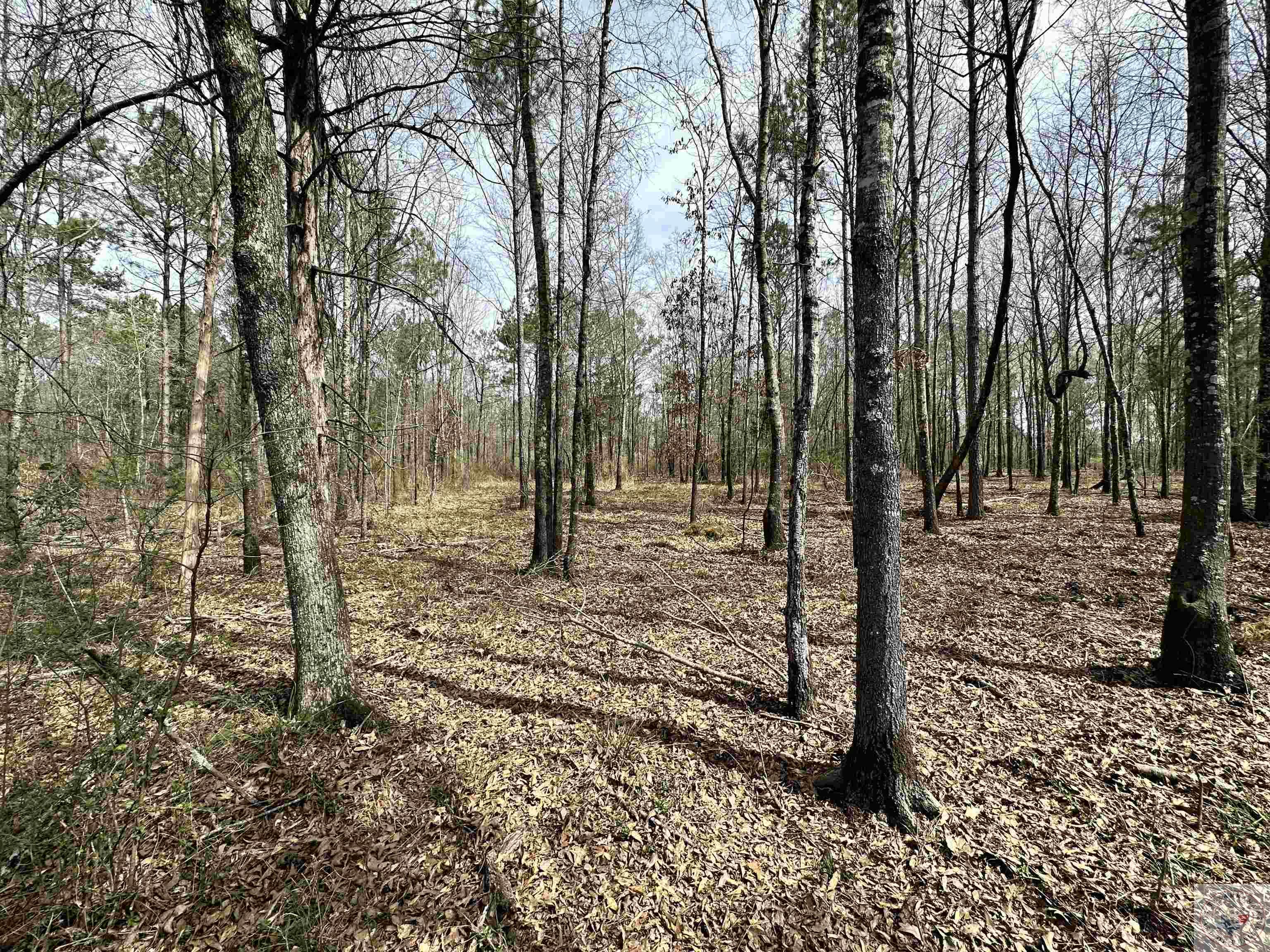 10.26 Acres Tri State Rd.