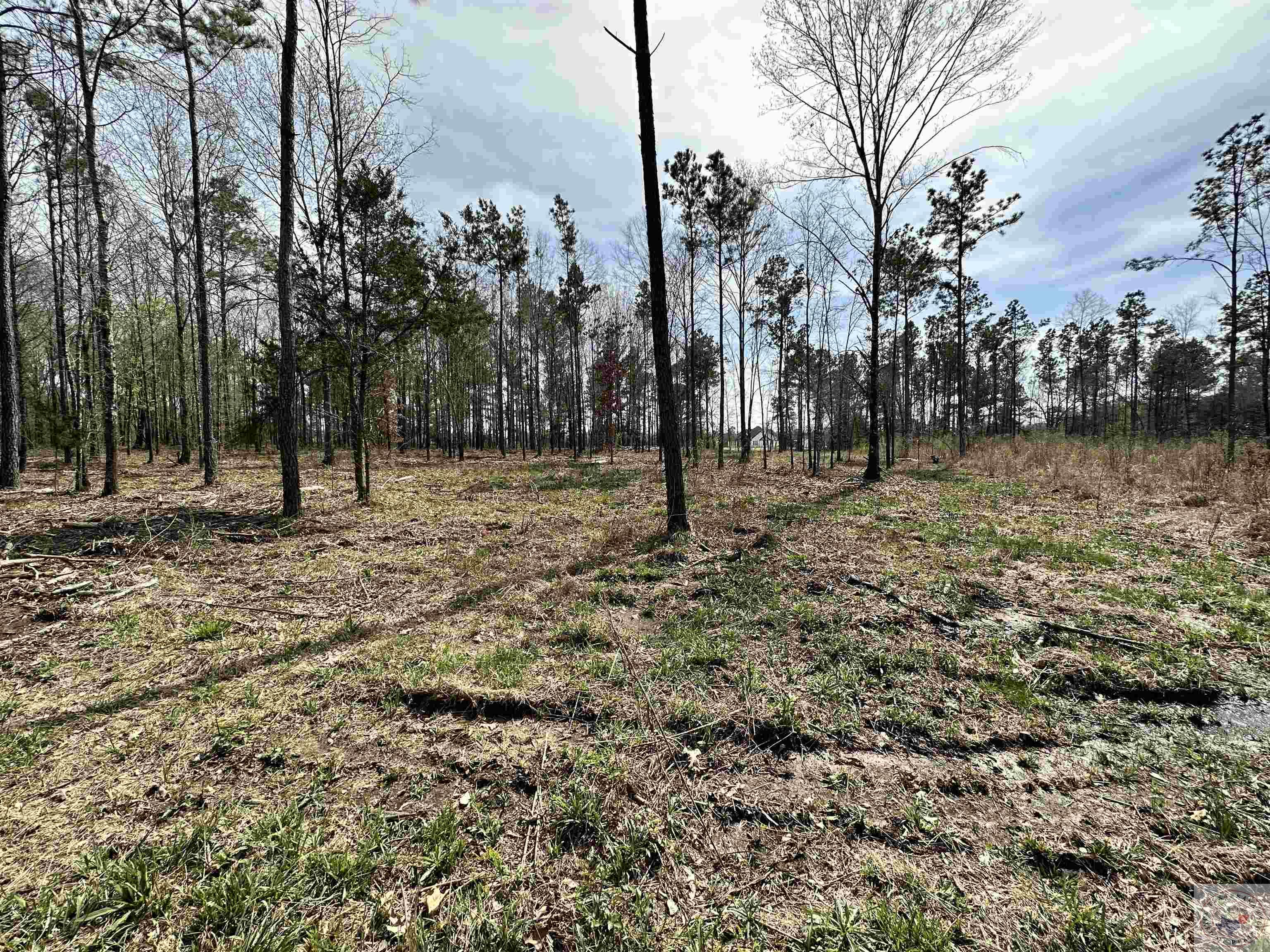 10.26 Acres Tri State Rd.