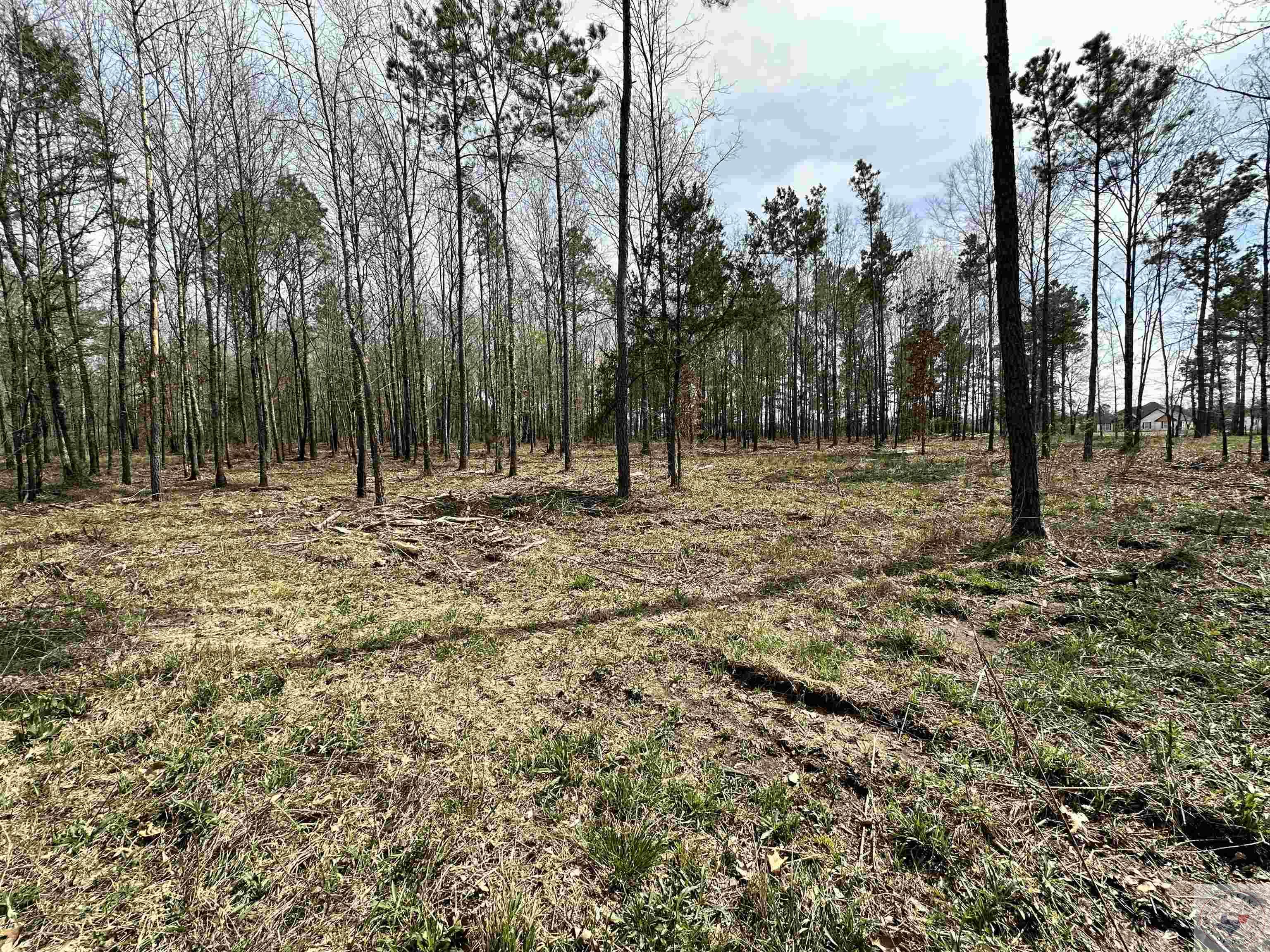 10.26 Acres Tri State Rd.