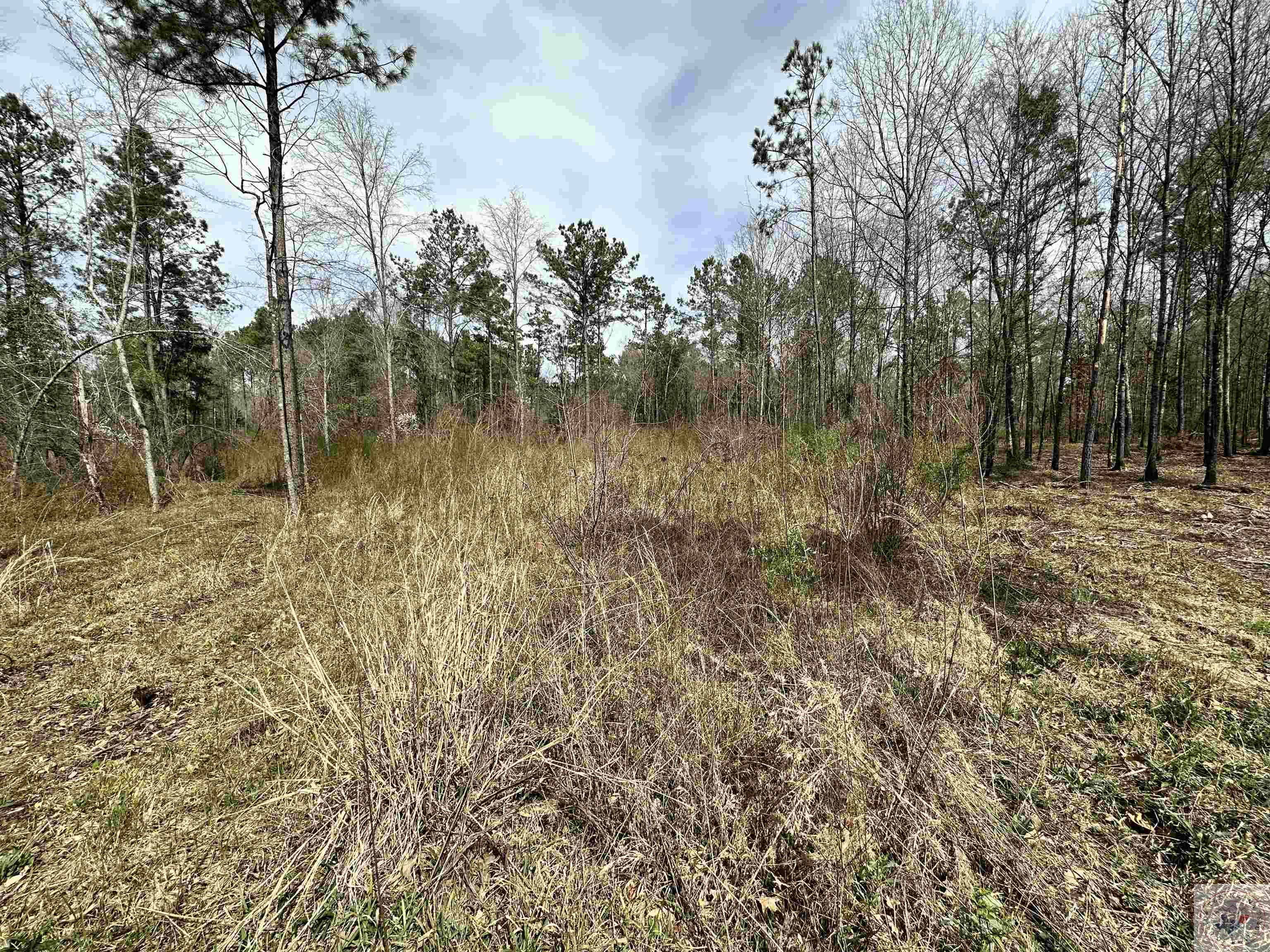 10.26 Acres Tri State Rd.