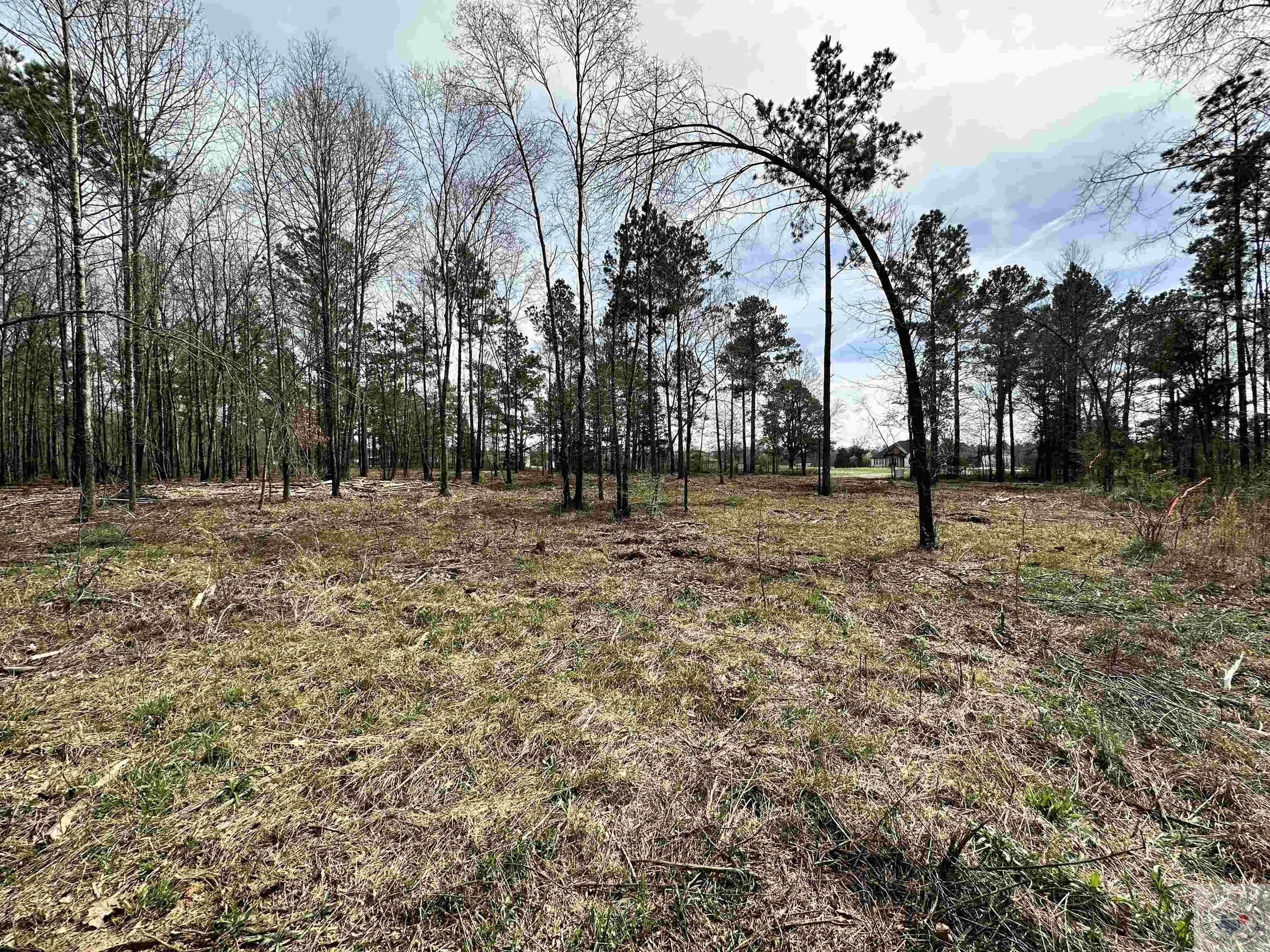 10.26 Acres Tri State Rd.