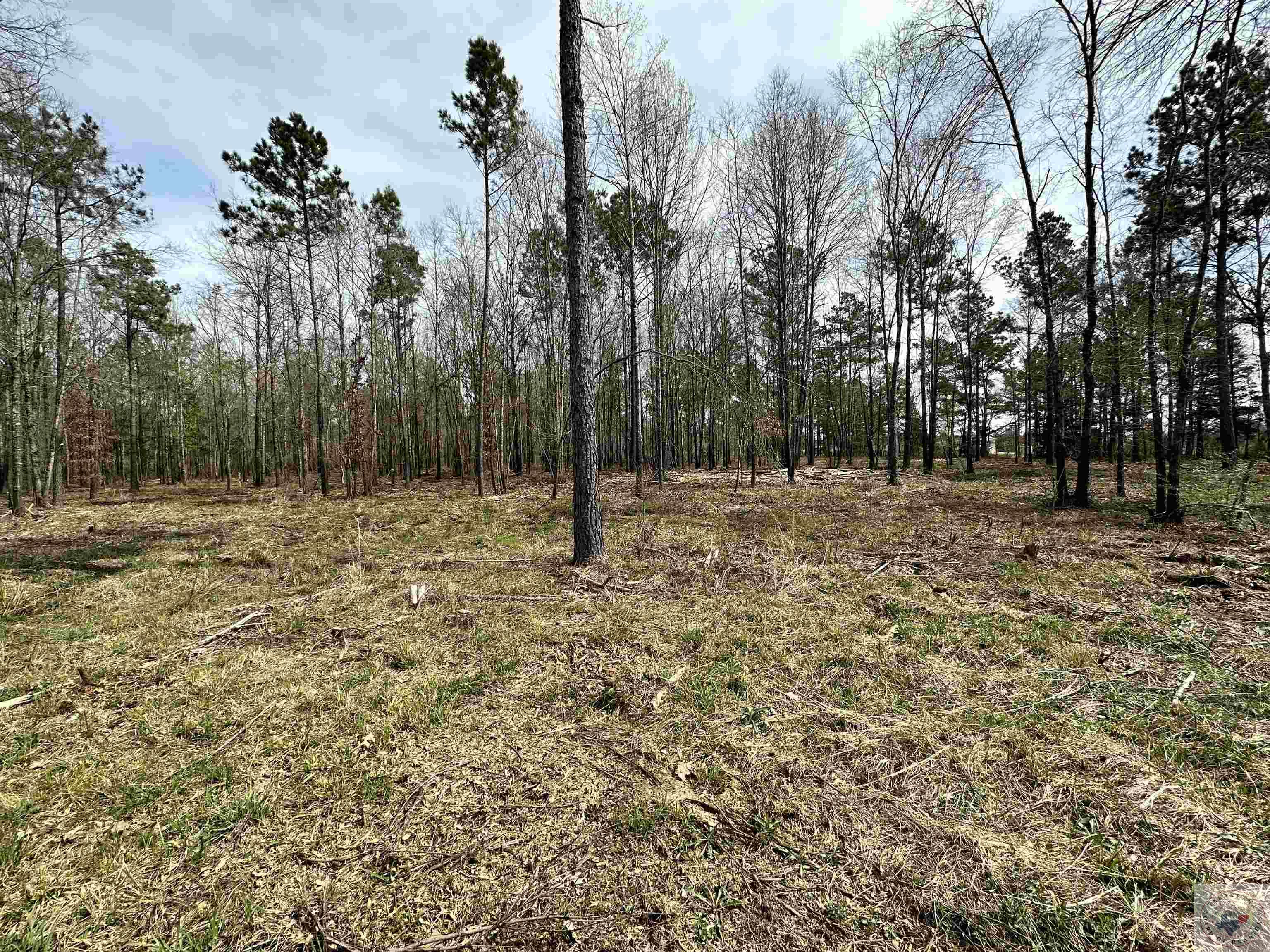 10.26 Acres Tri State Rd.
