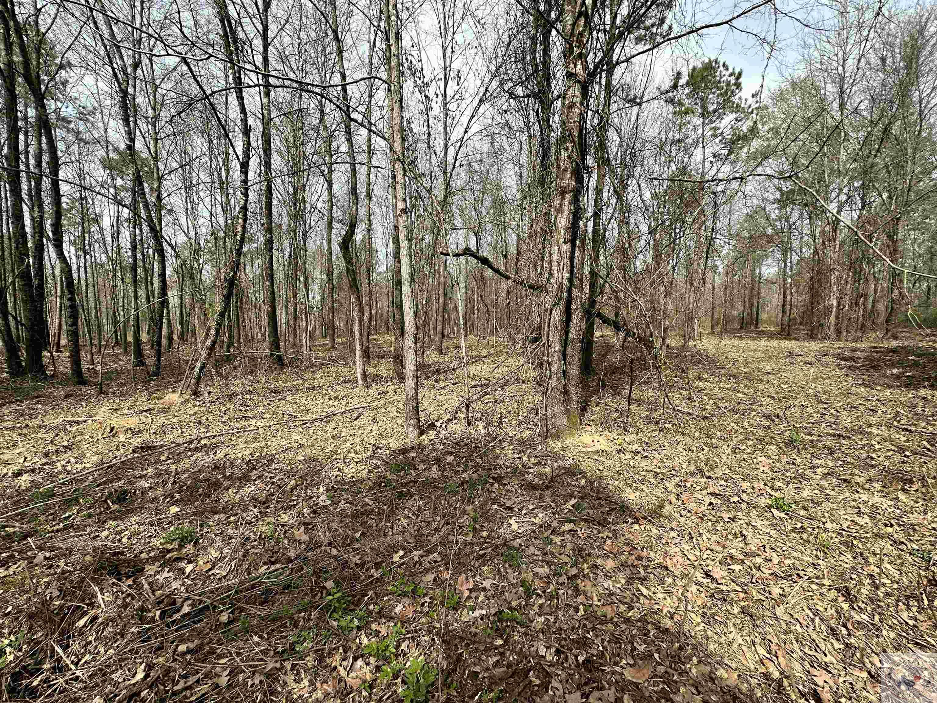 10.26 Acres Tri State Rd.