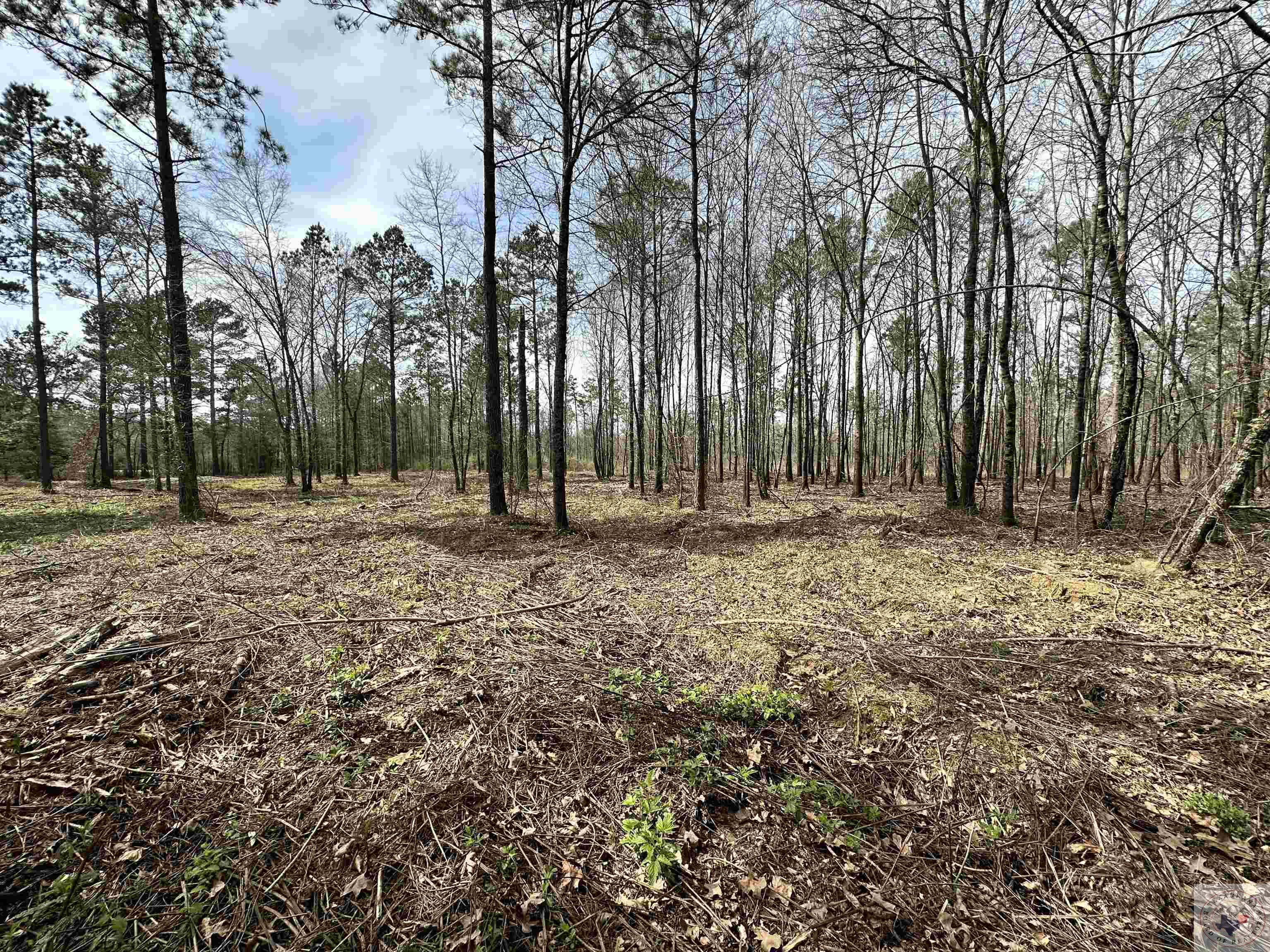 10.26 Acres Tri State Rd.