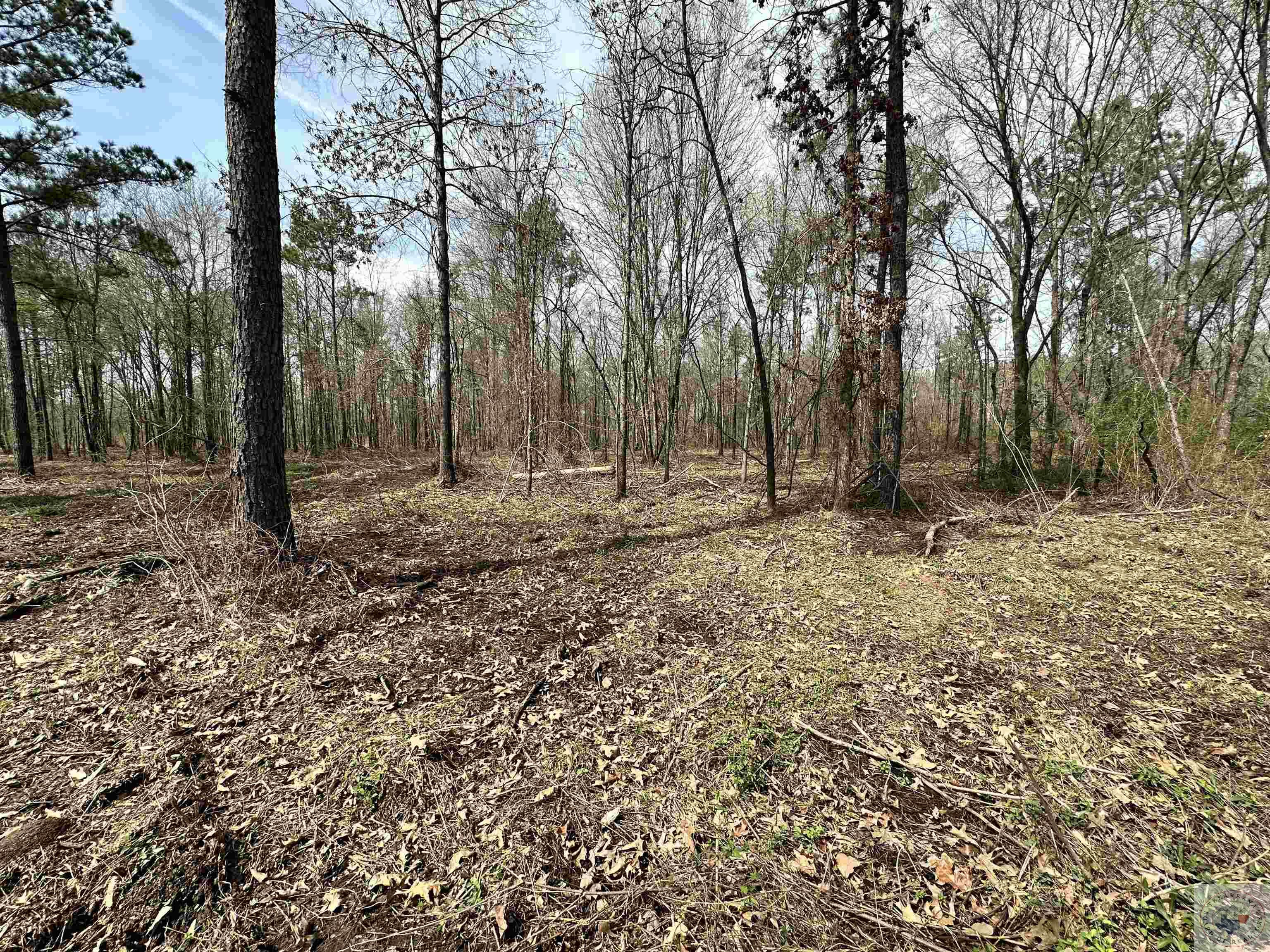 10.26 Acres Tri State Rd.