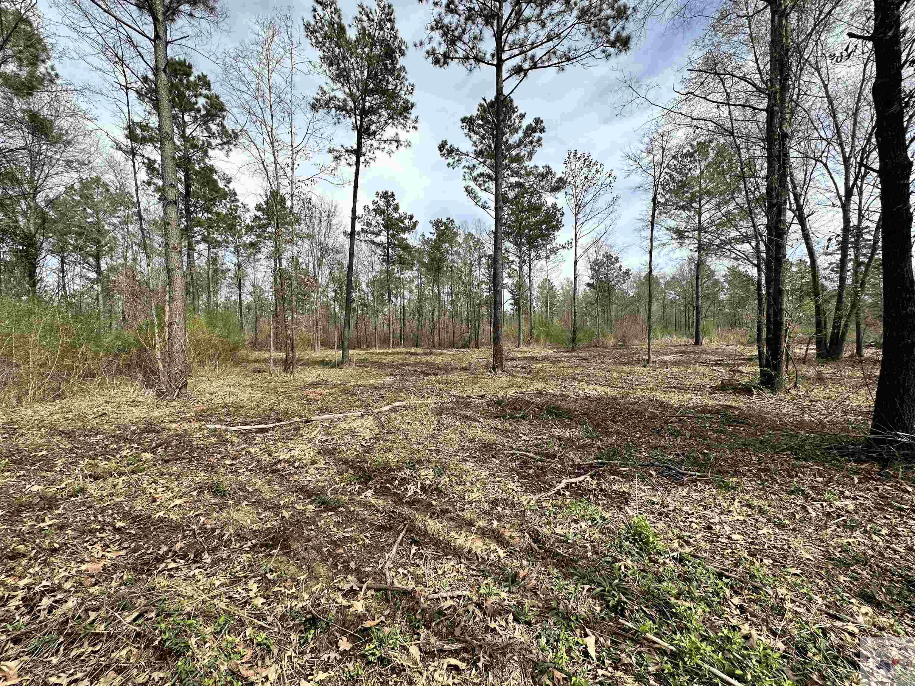 10.26 Acres Tri State Rd.