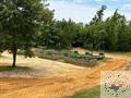 Thumbnail Photo