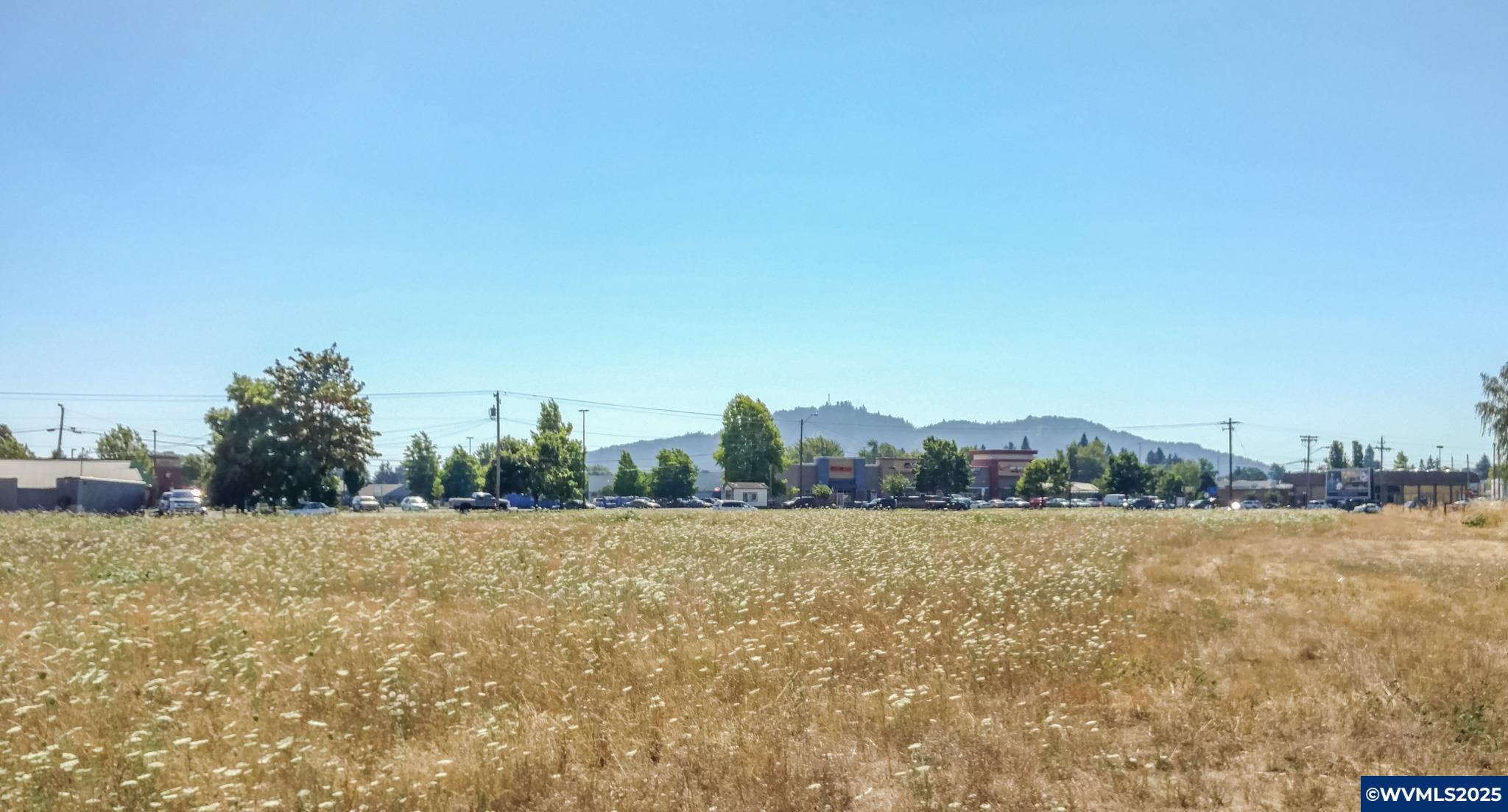 S Santiam (Lot UNIT&nbsp;102) Hwy, Lebanon, OR, 97355