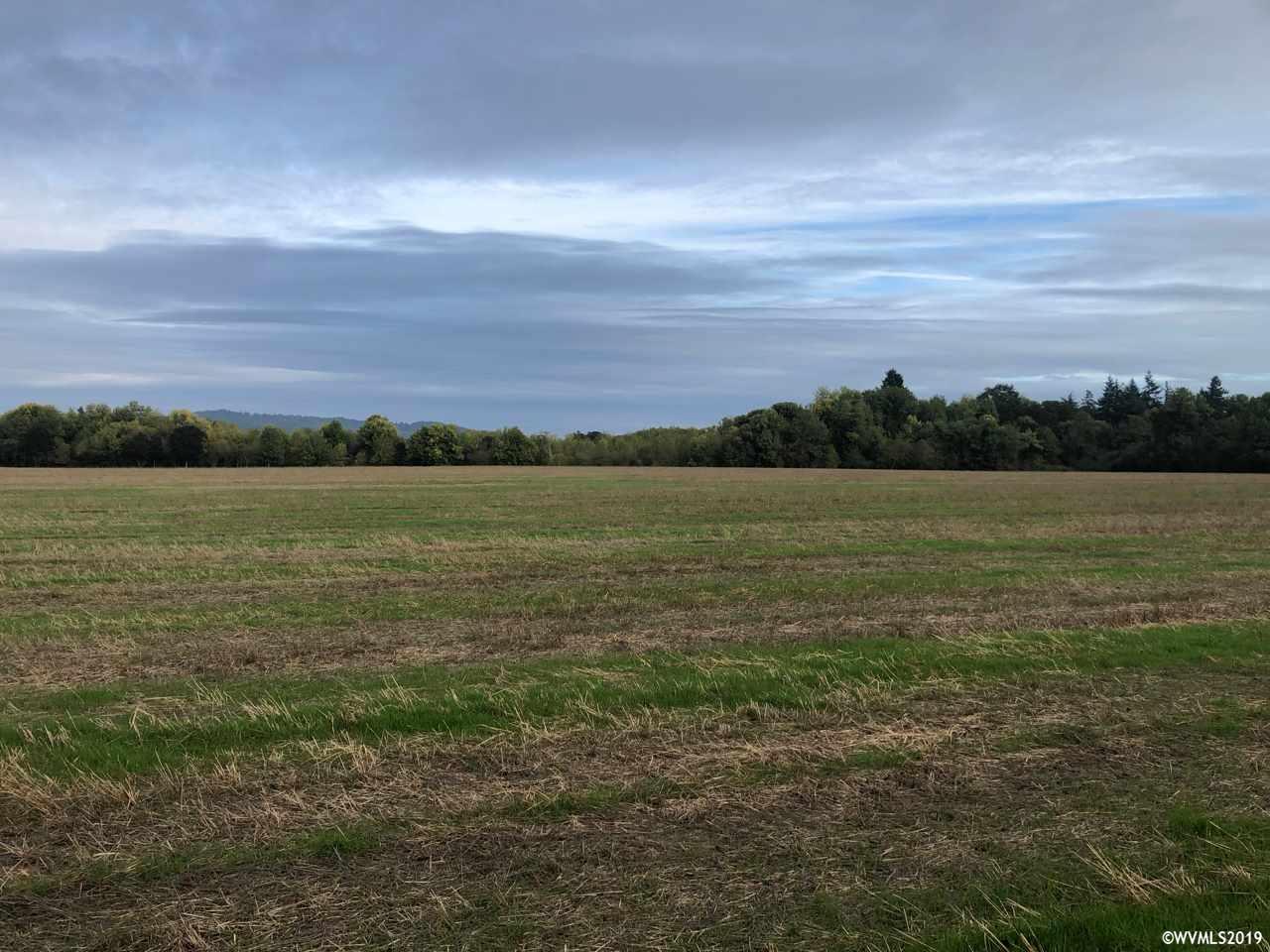 Pacific (Lot #1100 & 1206) Hwy, Monmouth, Oregon, ,Land (1+ Acre),For sale,Pacific (Lot #1100 & 1206) Hwy,755370