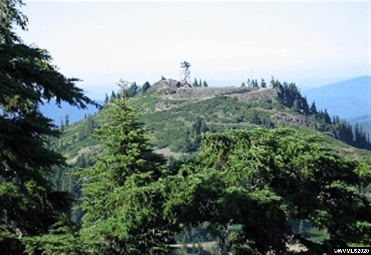 MS#443 Fairview Peak, Cottage Grove, Oregon, ,Land (1+ Acre),For sale,MS#443 Fairview Peak,760619