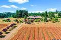 Don't miss this opportunity to own a piece of paradise in the Red Hill Douglas County AVA Oregon. The 6,200 SF home sits atop the hill w/ stunning views of vineyards & mountains. The 25 acre Pinot Noir vineyard is planted in clones 777 & Pommard. The horse barn consists of 3 birthing stalls, 1 tack room & feed room, 48x60 indoor riding arena & a 70x120 outdoor arena. Fenced & cross fenced pasture along w/ riding trails. Guest cottage & much more. Schedule your private showing today.
