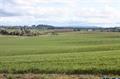 Yamhill farm w/Mtn views in the heart of wine country! This 111+ acre farm is surrounded by beautiful vineyards. Seller reports 32 acres are available/approved for wine production, 105 acres rented in wheat $15,750/year, long term lease poss. Entire farm tiled for drainage. Charming Craftsman style home w/country kitchen, real hardwood floors, Frml Dining, large Liv Rm w/wood Fireplace & great views! Large unfinished basement w/plenty of storage. Large 960sf garage & a 98' X 42' Shop w/ 16' X 14' bay doors.