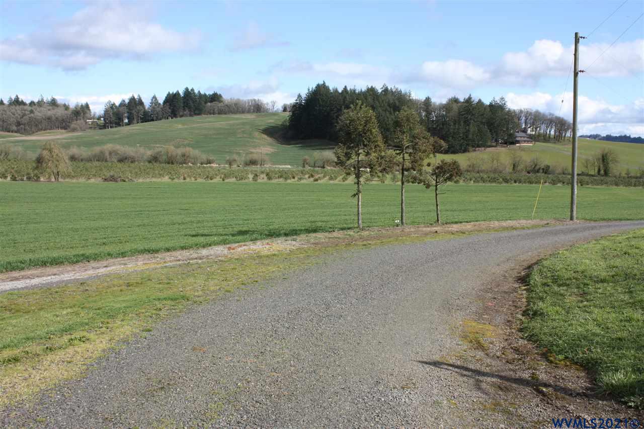Image 9