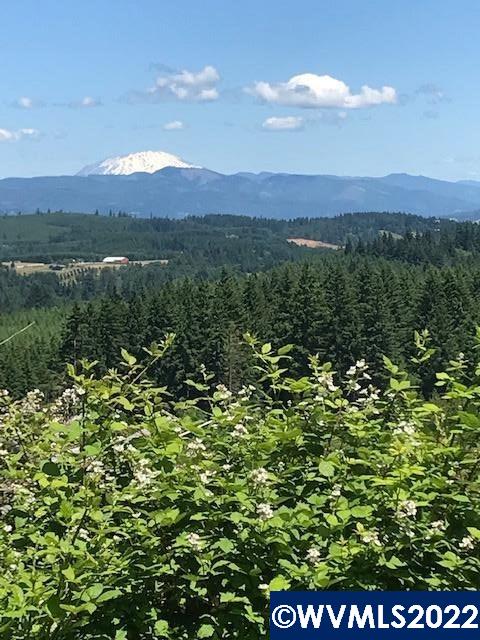 S Santiam (Lot UNIT&nbsp;102) Hwy, Lebanon, OR, 97355