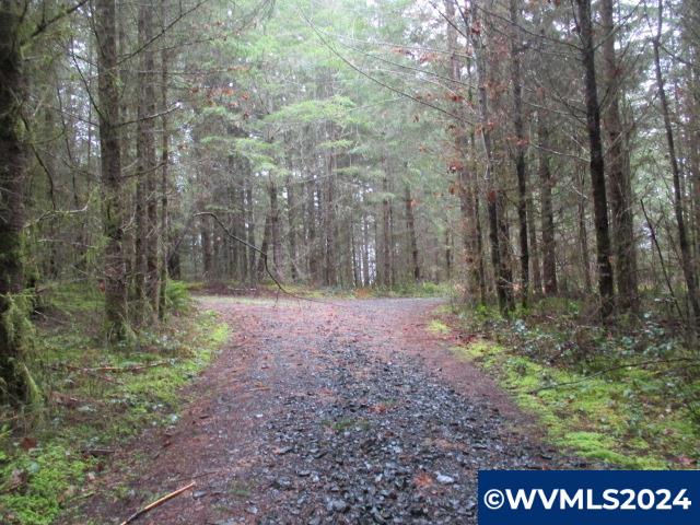 S Santiam (Lot UNIT&nbsp;102) Hwy, Lebanon, OR, 97355