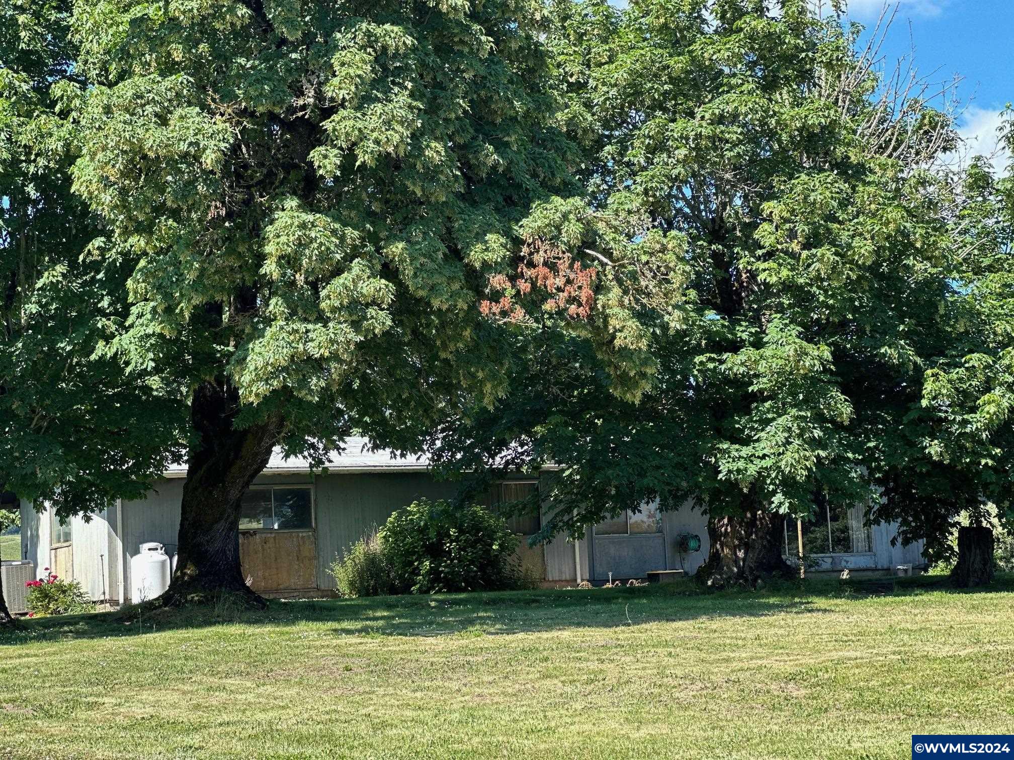 Image 12