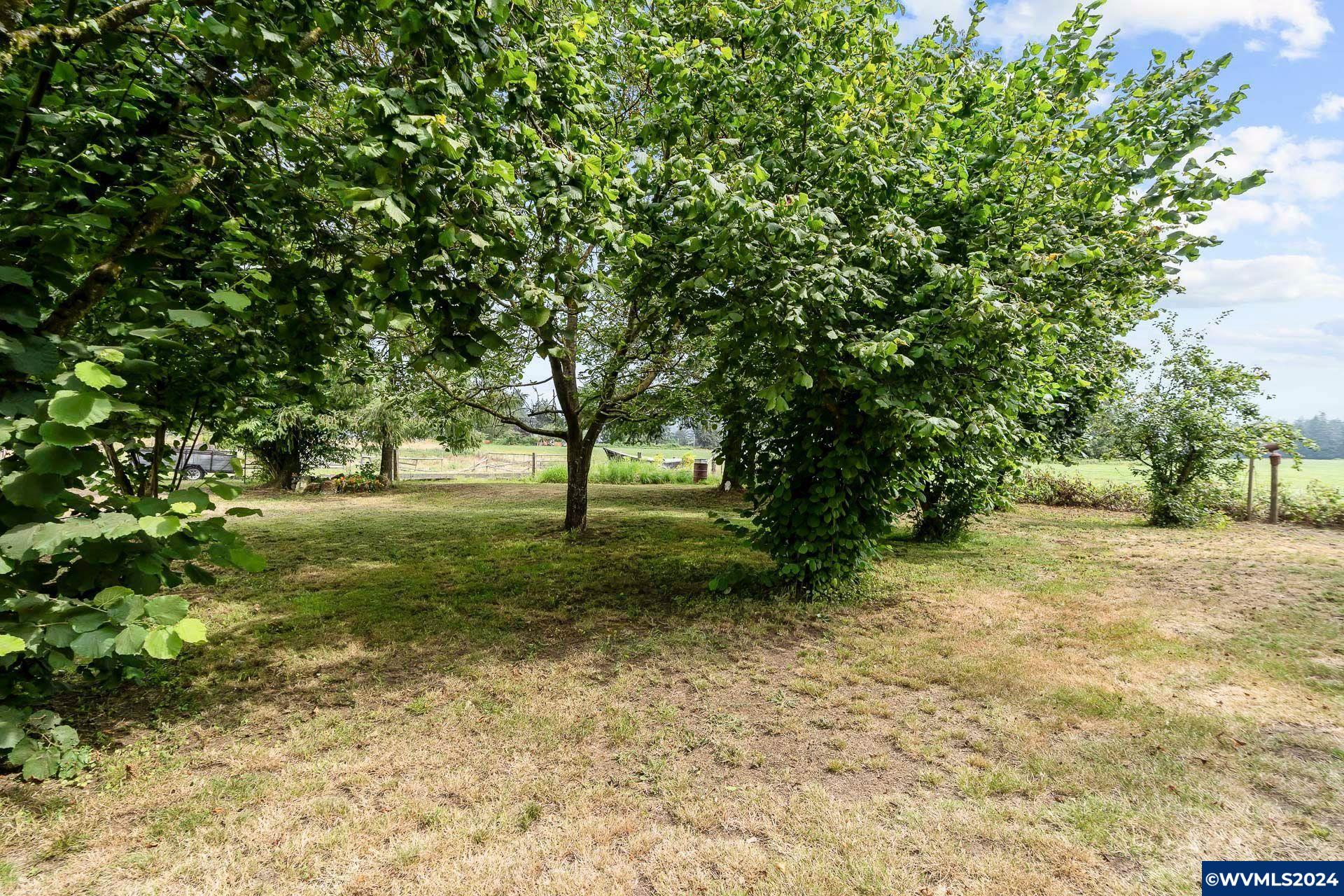 Image 26