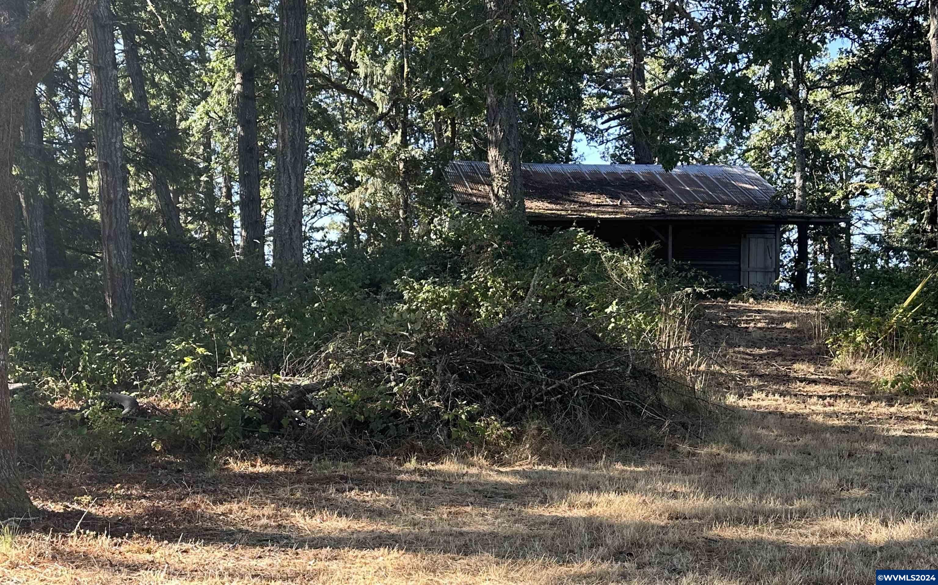 Image 12