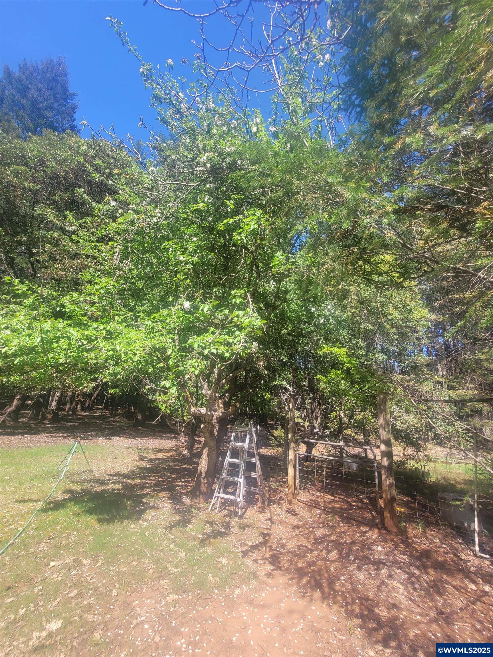 356 White Oak Dr