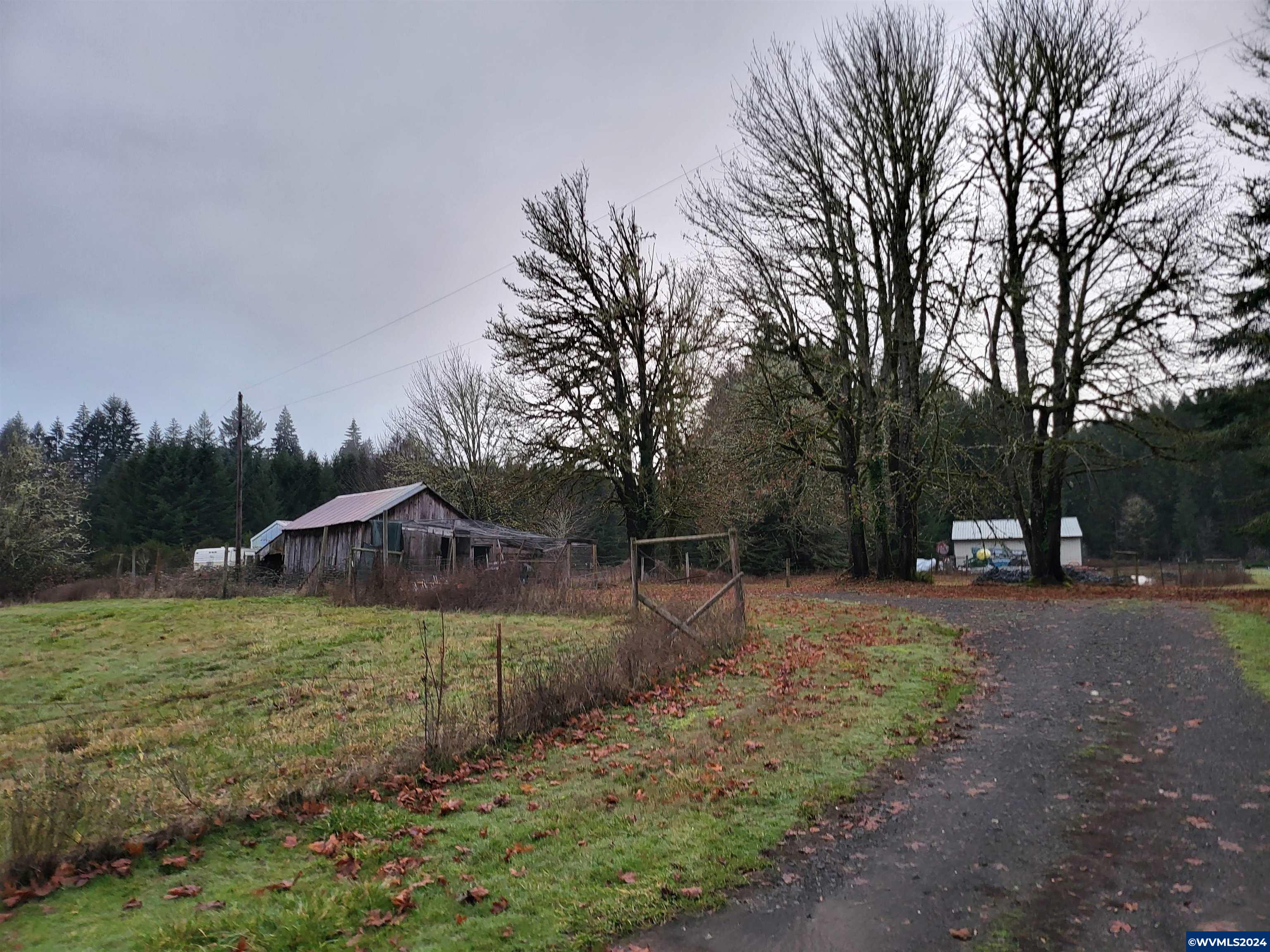 Image 12
