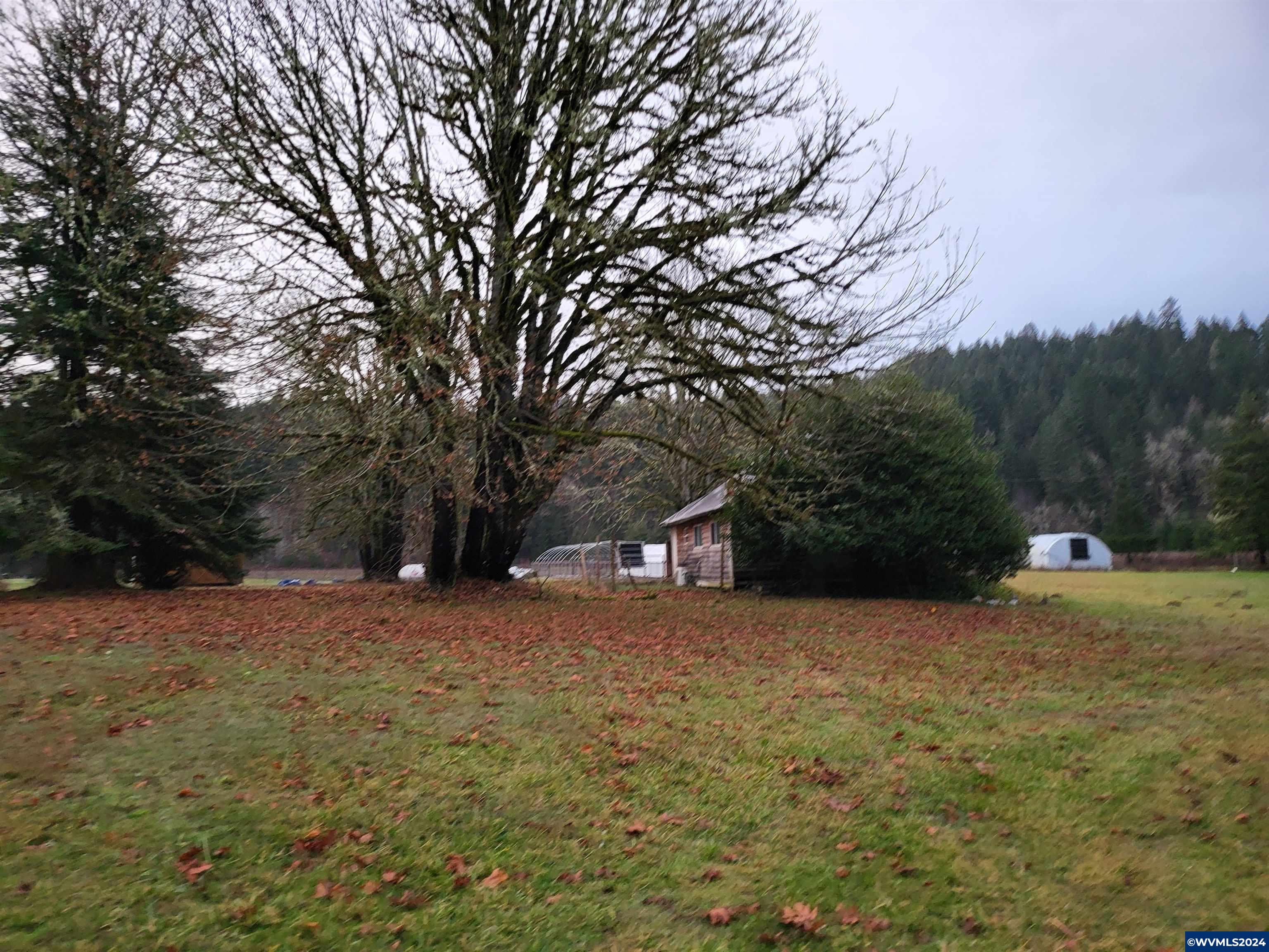 Image 15