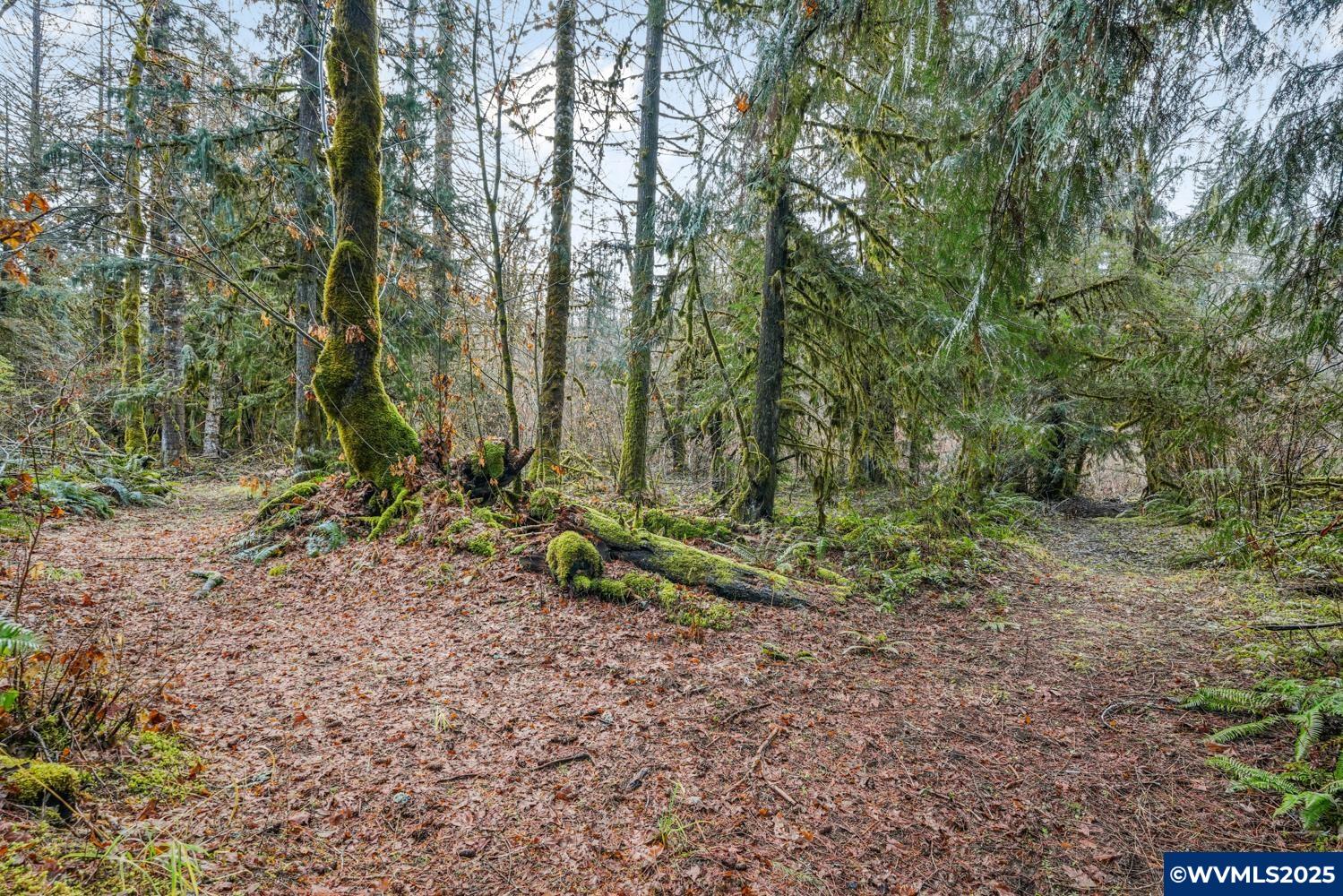 Image 19