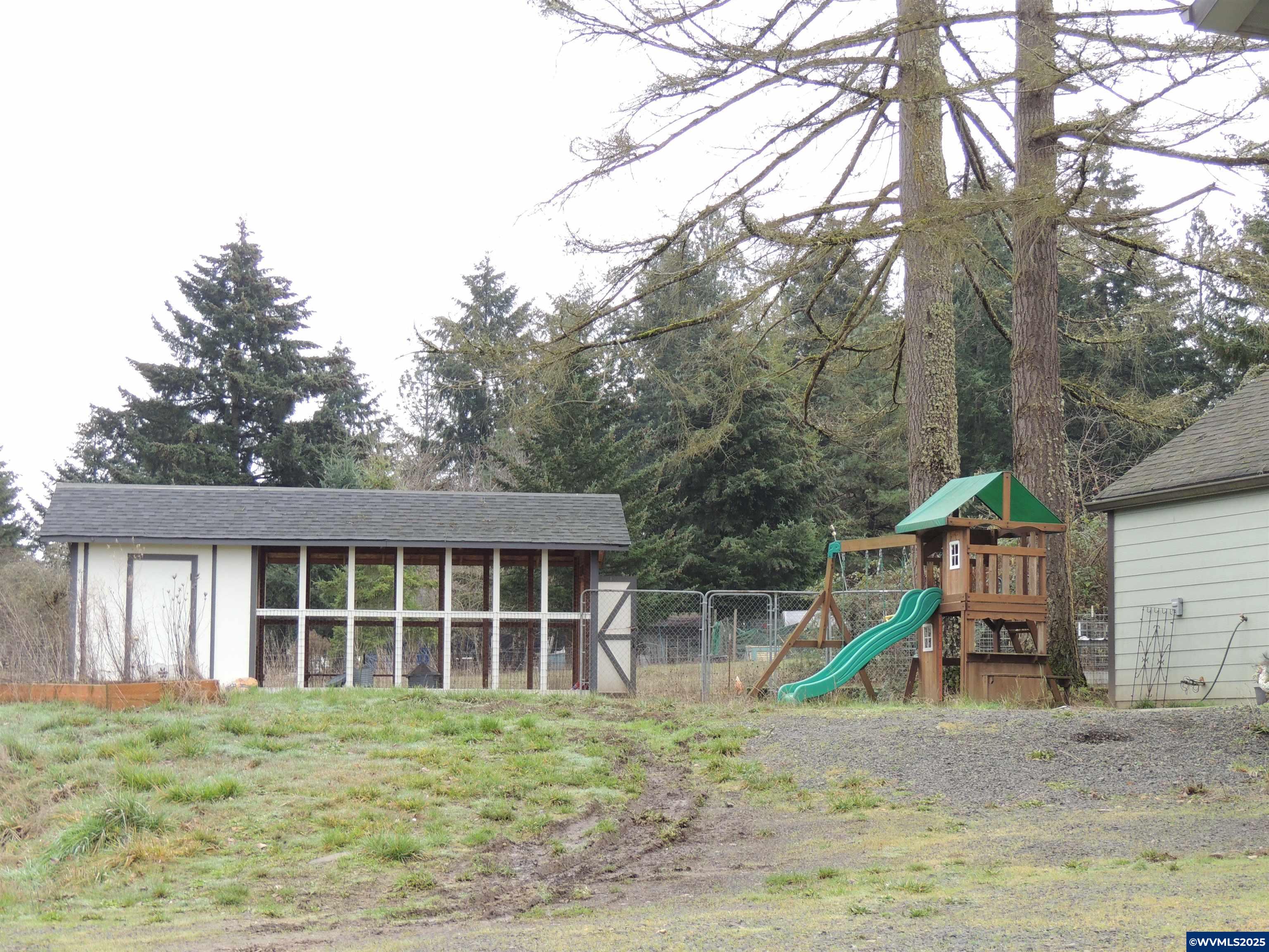 Image 19