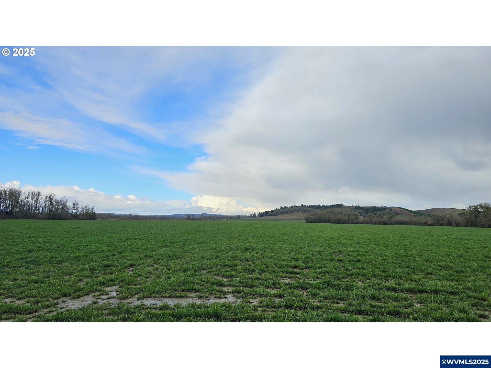 This productive farm offers a combination of agricultural potential, and recreational opportunity. The property features fully tiled lower fields, ensuring efficient drainage for optimal production. Currently dry farmed, the property produces approximately 2,000 pounds of grass seed per acre, with the potential to establish water rights through the construction of an in-ground reservoir (buyer to do own due diligence with OWRD). A mix of timber enhances the landscape, providing wildlife habitat and  opportunity for hunting/recreation. The existing home is a placeholder, allowing for future customization to suit your needs. Domestic water is serviced by Luckiamute water district. The property also includes a pond, adding to its natural appeal. Whether you’re looking for a productive farm, a hunting property, or a private rural escape, this property presents a unique opportunity with a strong agricultural foundation and room for expansion. Additional configurations available, see MLS# 337433043, 209024673
