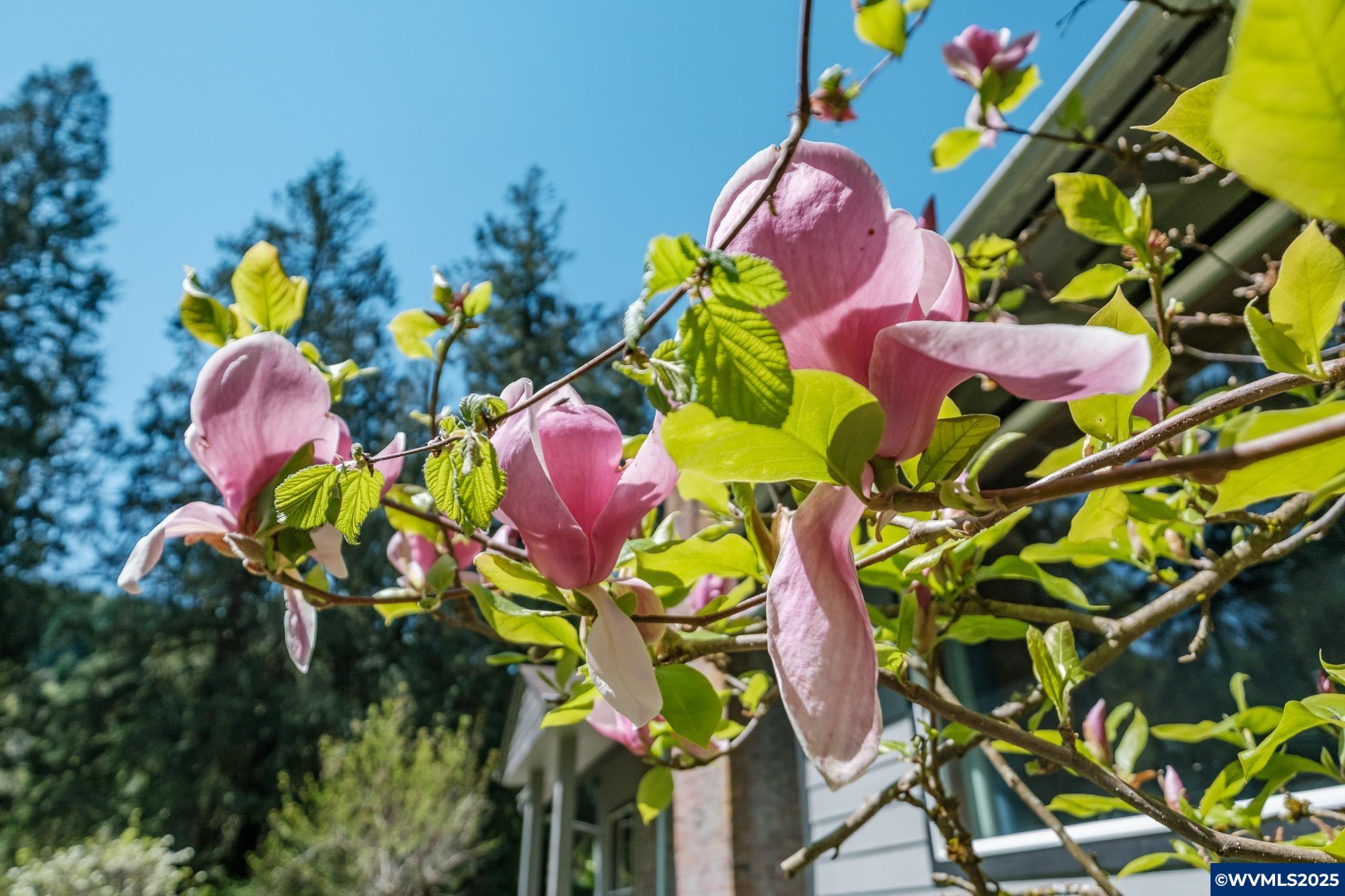 18347 S Winnifred Av