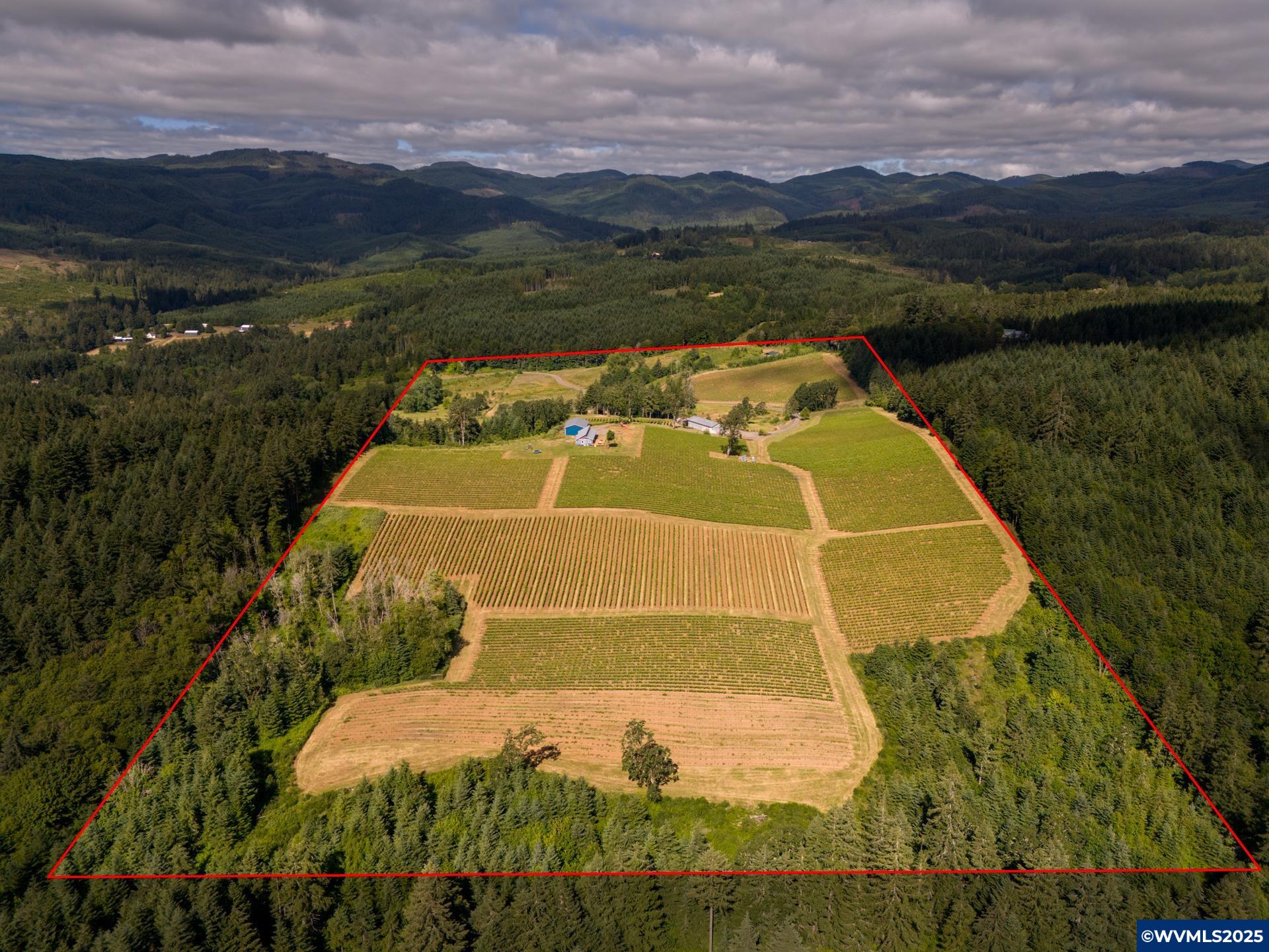 Welcome to this unique 62 acre opportunity in Oregon Wine country located in the Yamhill Carlton AVA! Enjoy the tranquility and beauty of Carlton, with rolling hills, panoramic vineyard vistas and easy access to the region's cherished wine trail!  Around 23.7 acre vineyard. Stunning views, Cascade Range, Mt. Hood and Mt. Jefferson plus the Coastal Range, will take your breathe away whether you are on the deck, in the vineyard or sipping a glass of award winning wine on the patio! Refer to MLS#828780. Nestled in the picturesque hills of Carlton, this remarkable property offers the ultimate blend of luxury and rural living, 2083 sq. ft. winery with a 398 sq. ft estate tasting room facility, a wonderful crush pad and a well planned cold storage area. 946 sq. ft wine storage area. The 2828 sq. ft. poured concrete patio outside of the tasting room makes for a wonderful opportunity for potential wine tasting or other creative future ideas! The home features tasteful finishes, Euroline triple-pane windows and doors, spacious living space and spacious deck! Solar panels on the barn roof, and they only power the small barn. Property benefits from two wells, one of these wells is only seasonal. Two septic systems, one for residence and one for winery. Ponds on property. The estate wines have received numerous accolades including multiple gold medals and high ratings from prestigious publications such as Sip Magazine and Wine Enthusiast.  Whether you're an established vintner or seeking a turnkey vineyard lifestyle, this property is a true gem in Oregon's wine country. Don't miss your chance to own a premier vineyard estate in one of the Willamette Valleys desirable locations! Buyer to do all own due diligence and verify all measurements themselves. Farm equipment, winery equipment, tasting room equipment are all negotiable.