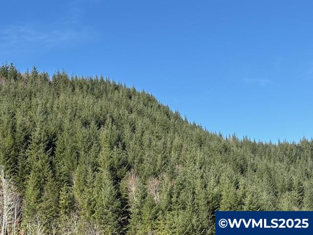 S Santiam (Lot UNIT&nbsp;102) Hwy, Lebanon, OR, 97355