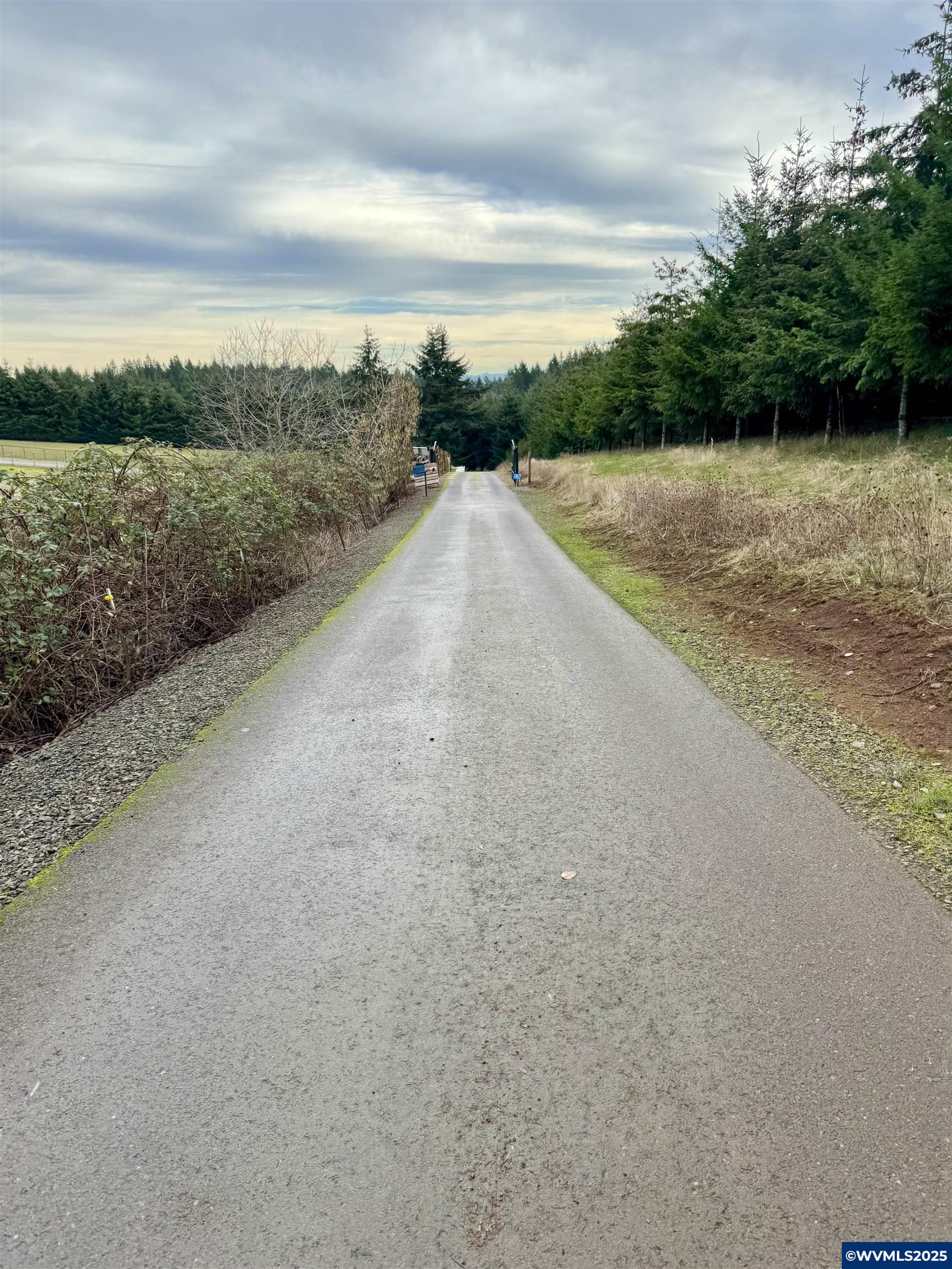 Image 18