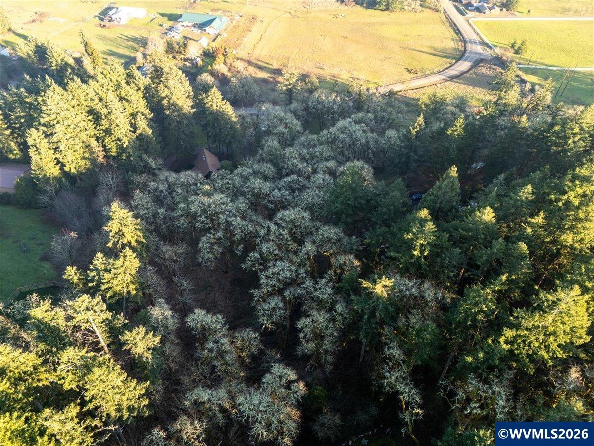 Lot 1100 Behind 5000 Crescent Valley Dr