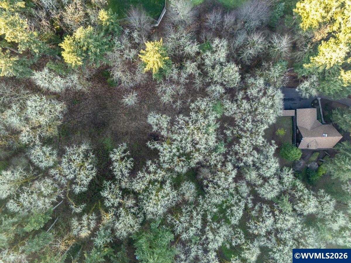 Lot 1100 Behind 5000 Crescent Valley Dr