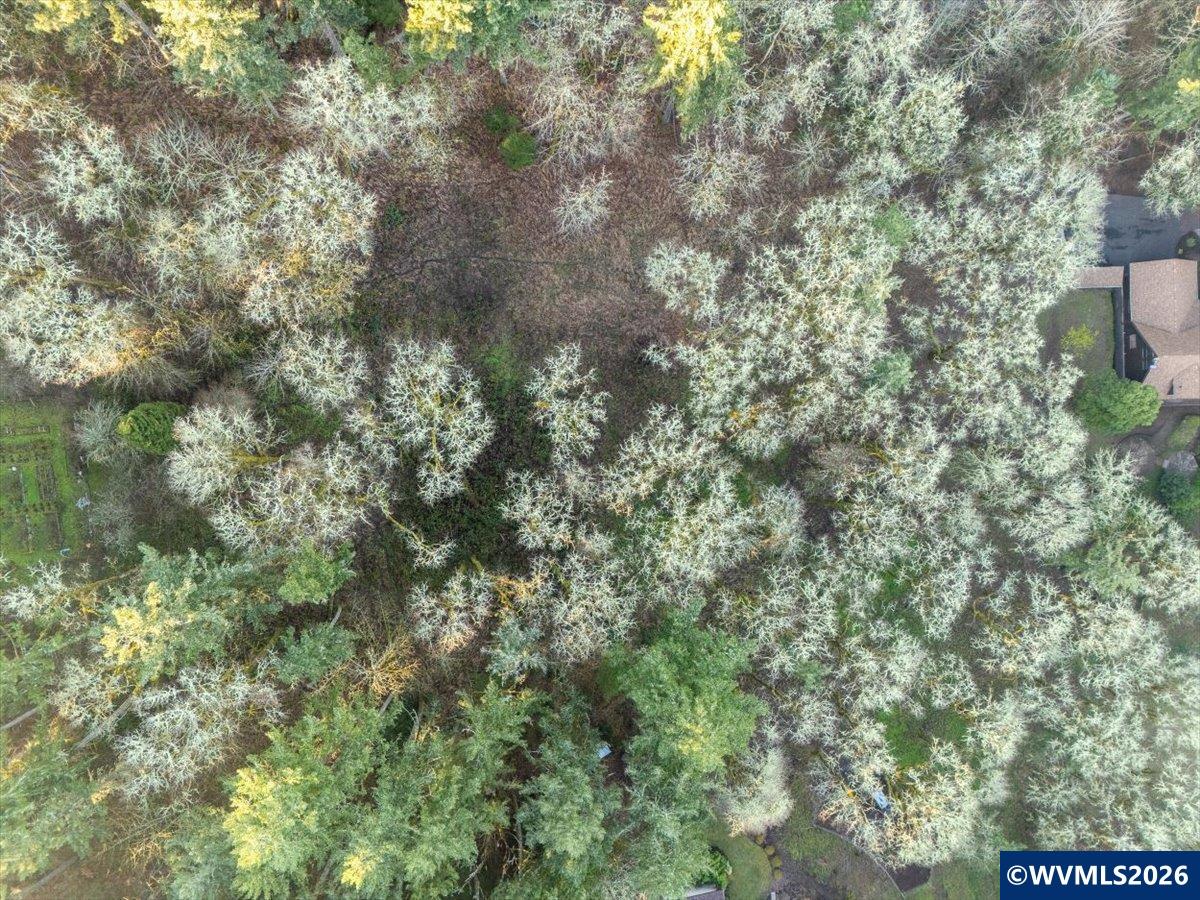 Lot 1100 Behind 5000 Crescent Valley Dr